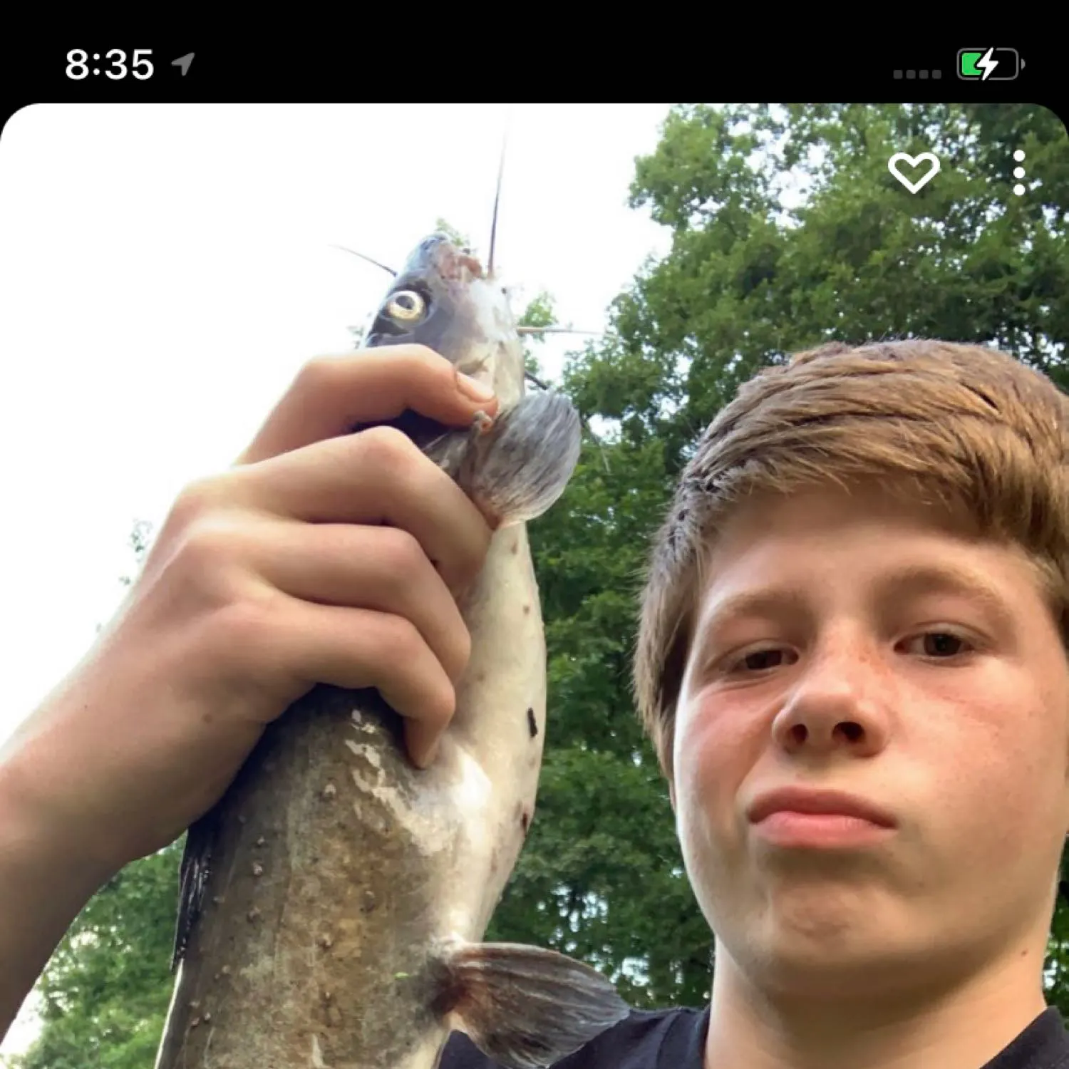 recently logged catches