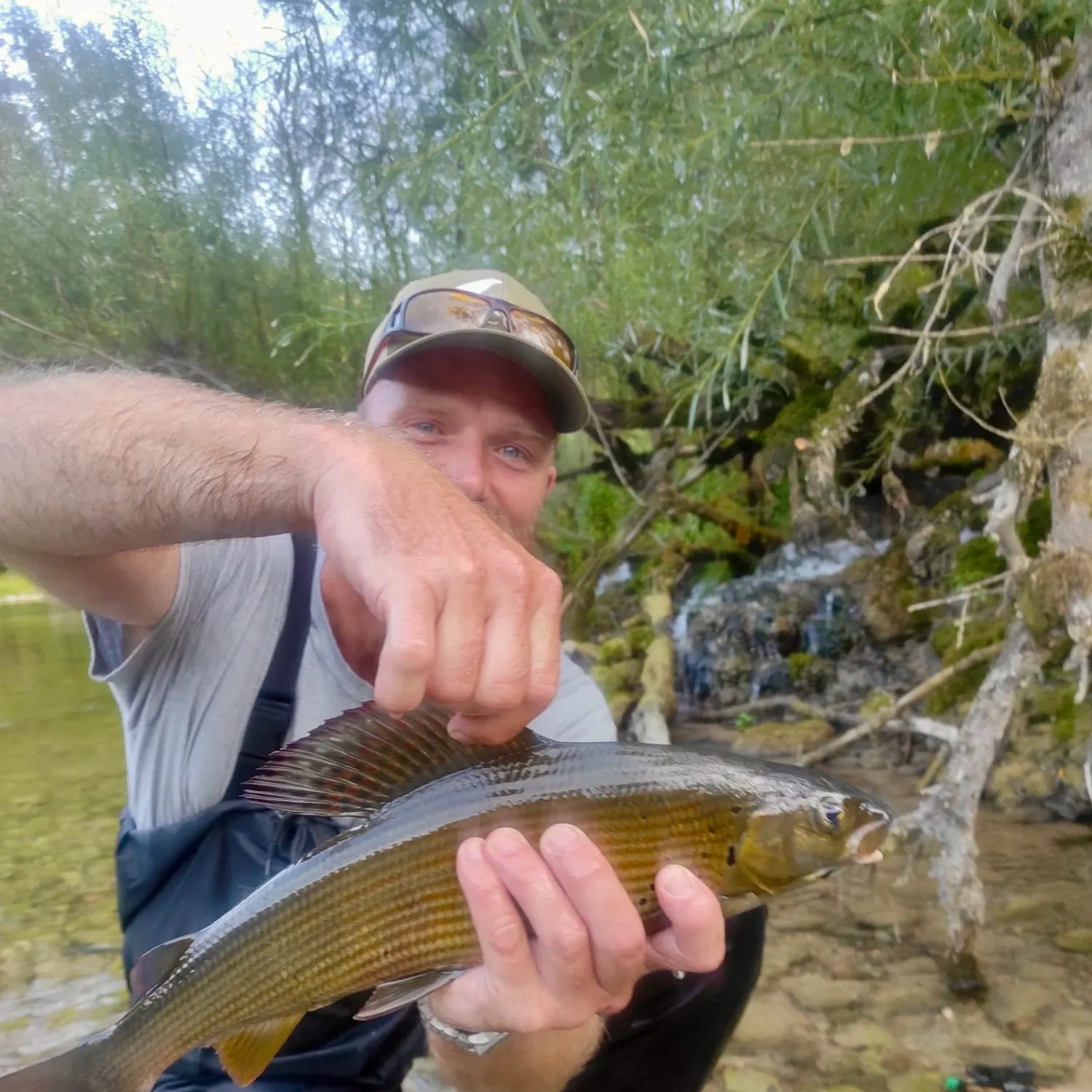 European grayling caught on Fishbrain