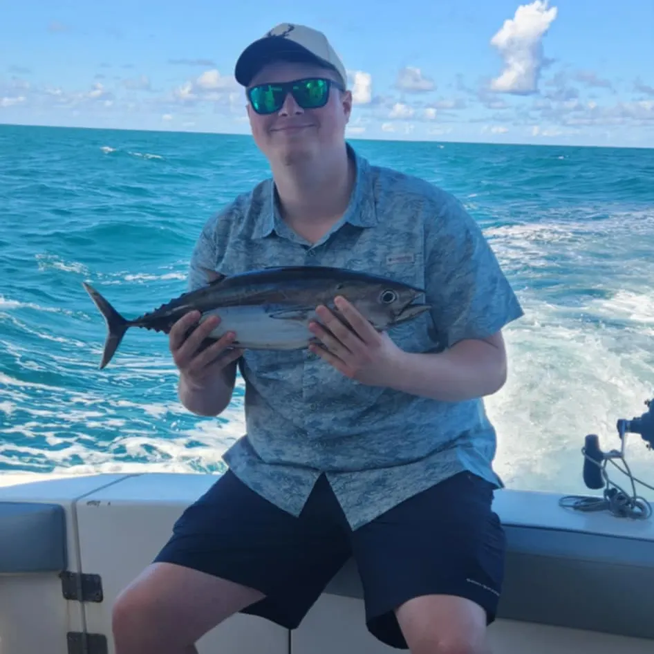 The most recent Skipjack tuna catches on Fishbrain