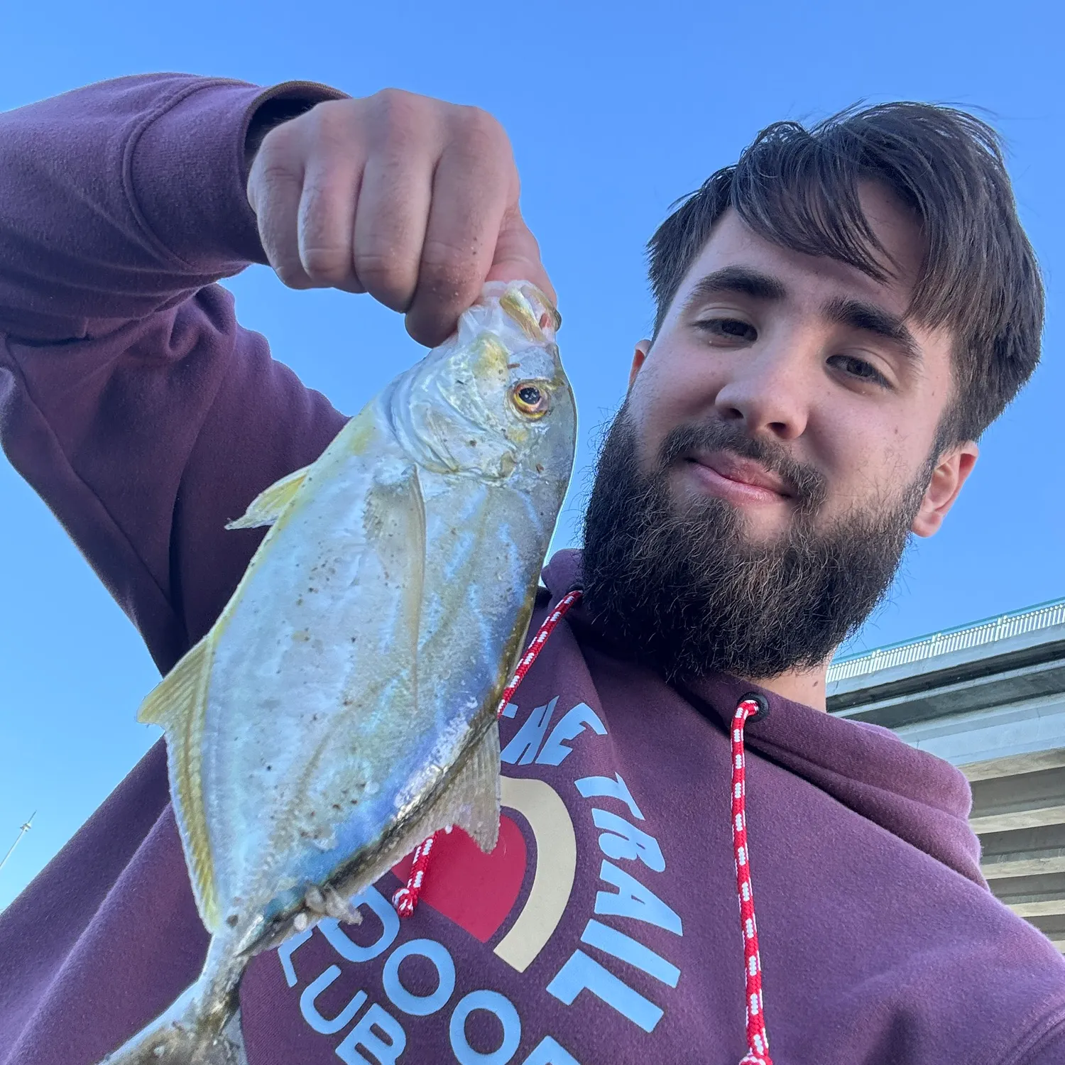 The most recent Yellow jack catches on Fishbrain