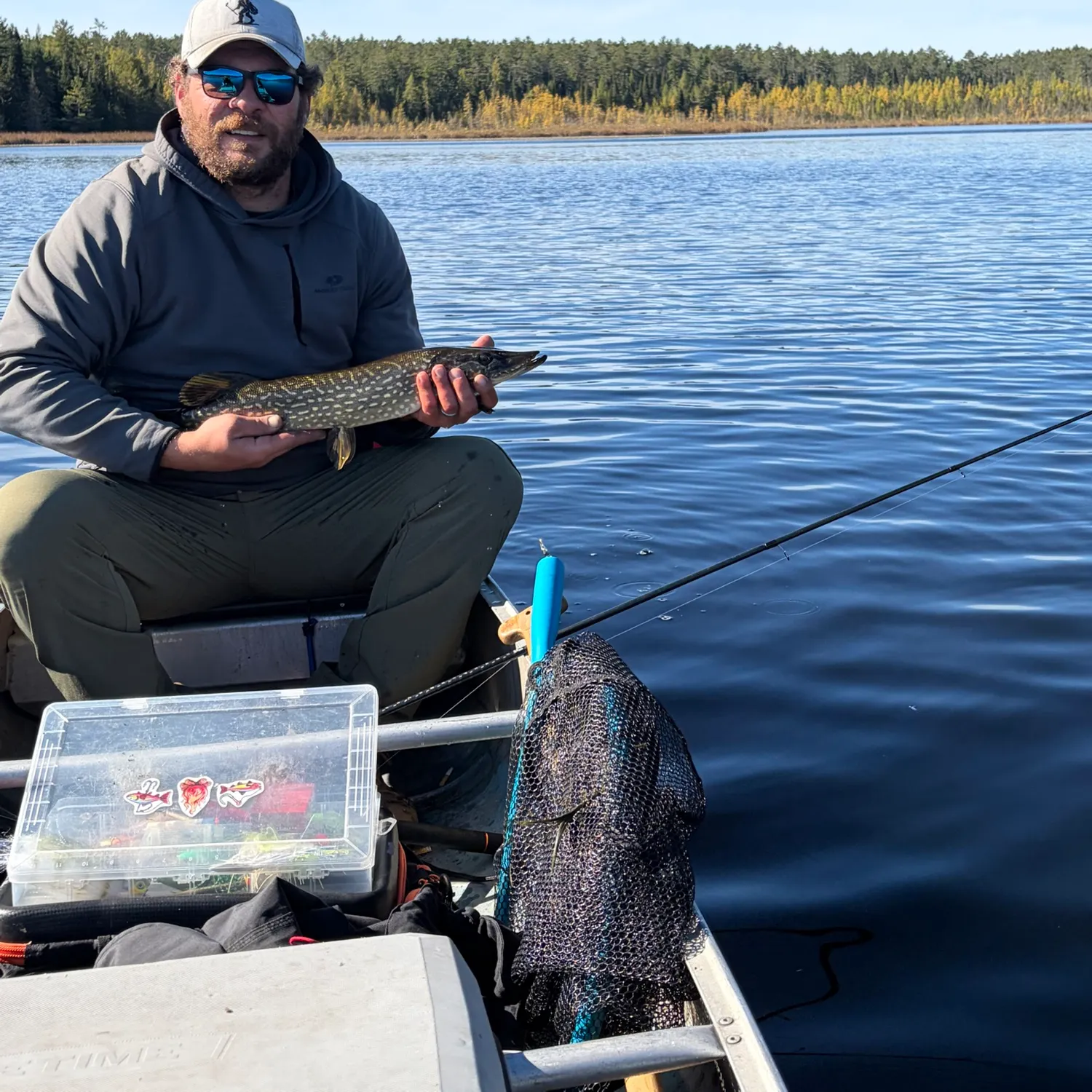 Northern pike caught on Fishbrain