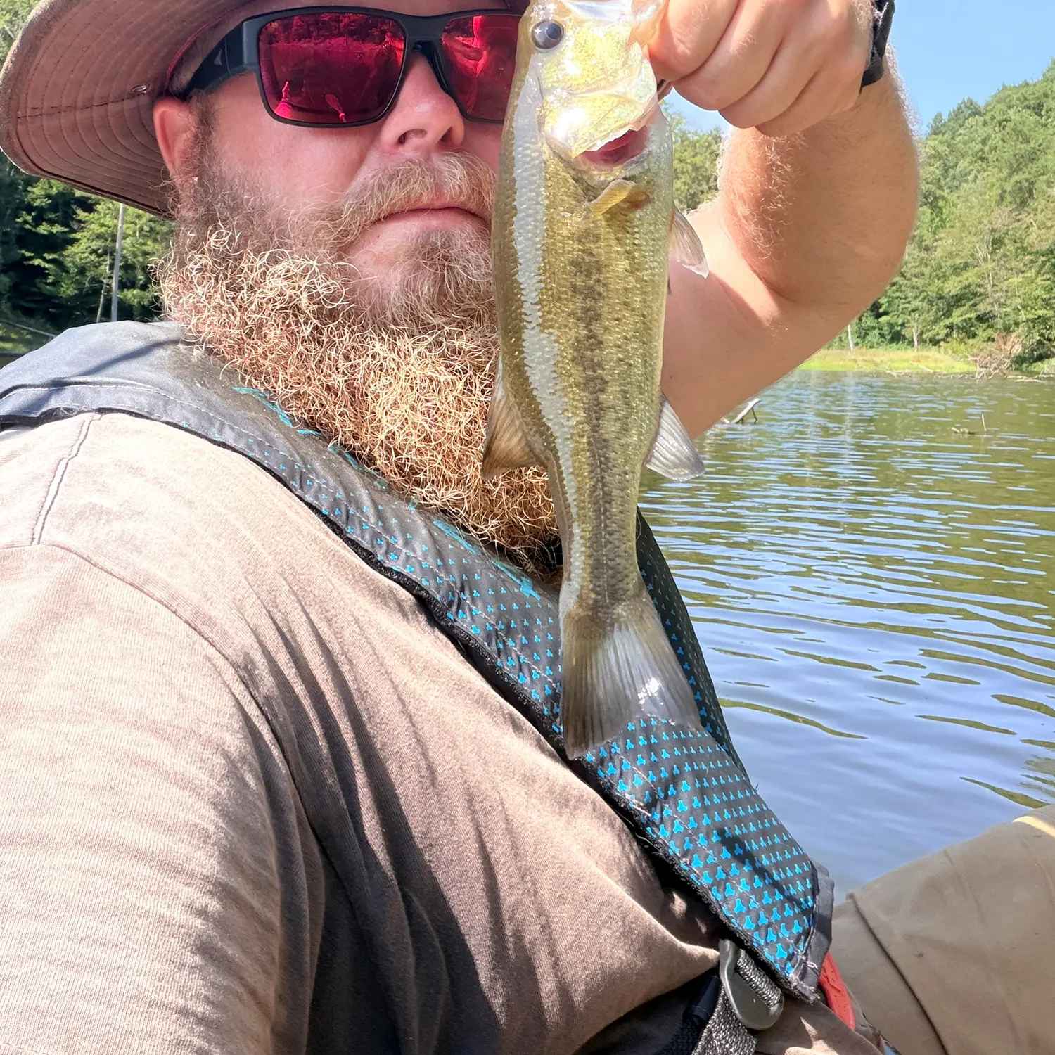 Largemouth bass caught on Fishbrain