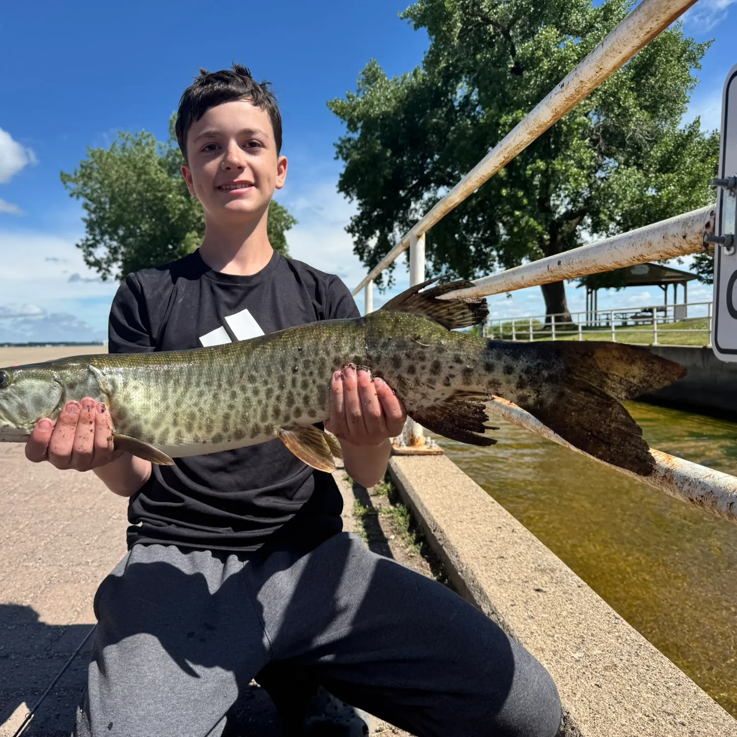 The most recent Tiger muskellunge catches on Fishbrain
