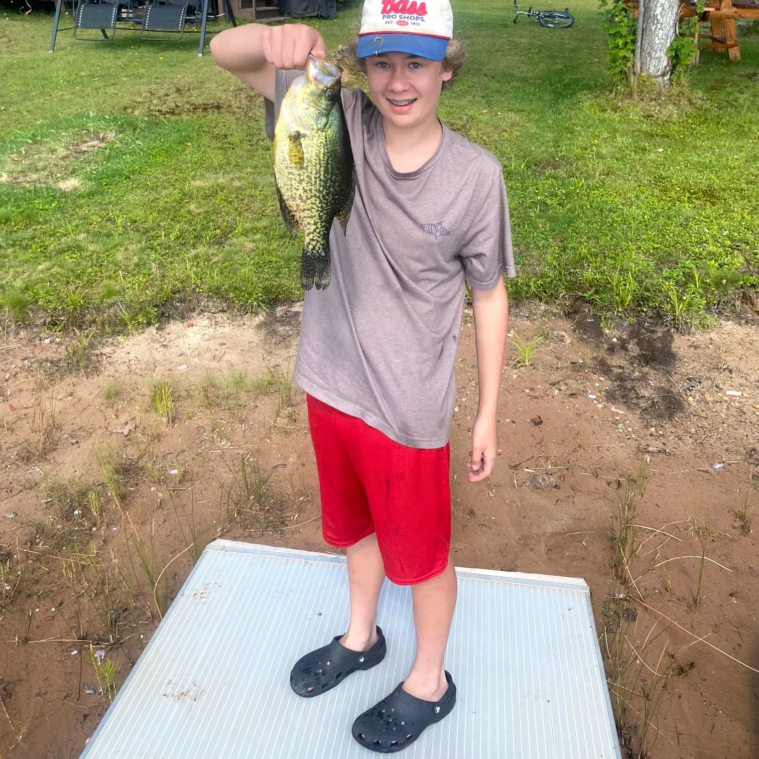 Black crappie caught on Fishbrain