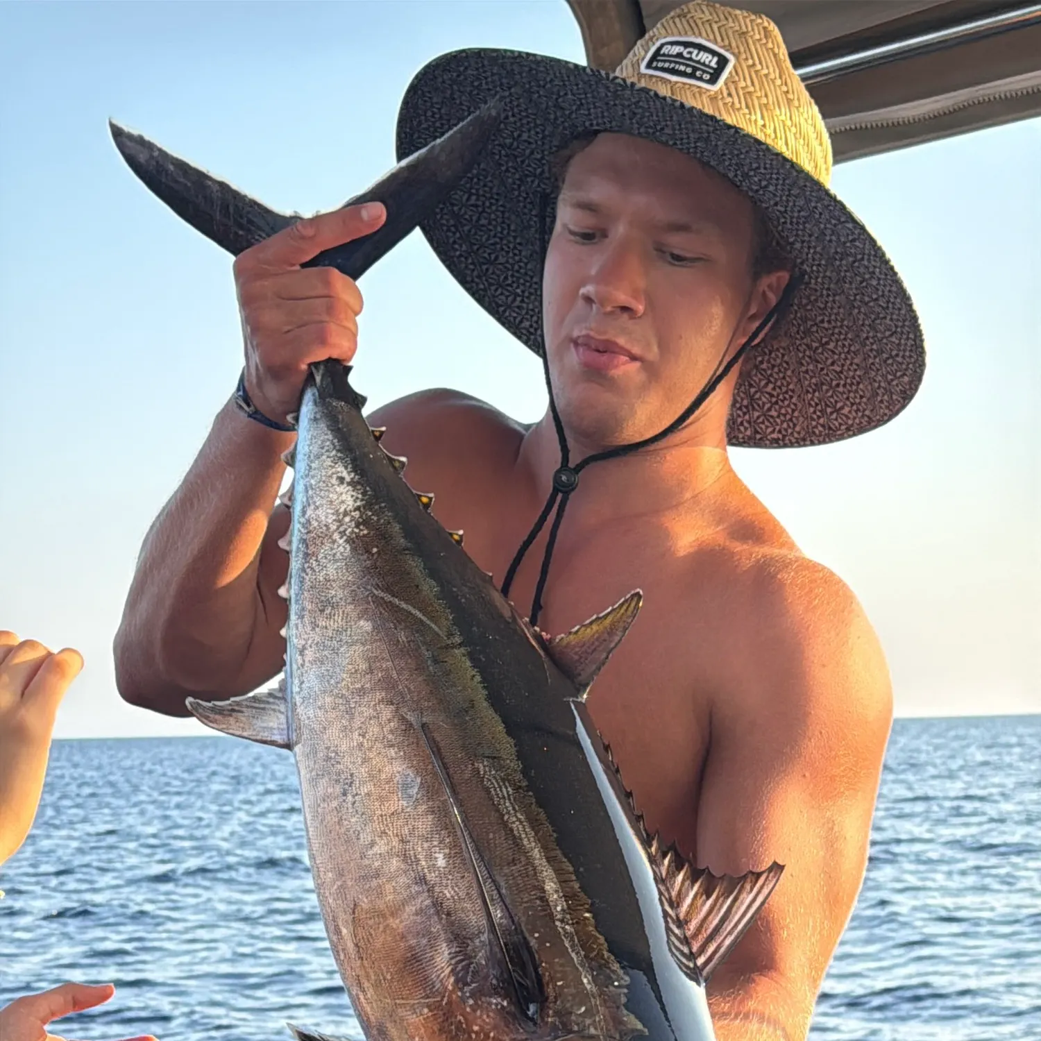 The most recent Southern bluefin tuna catches on Fishbrain