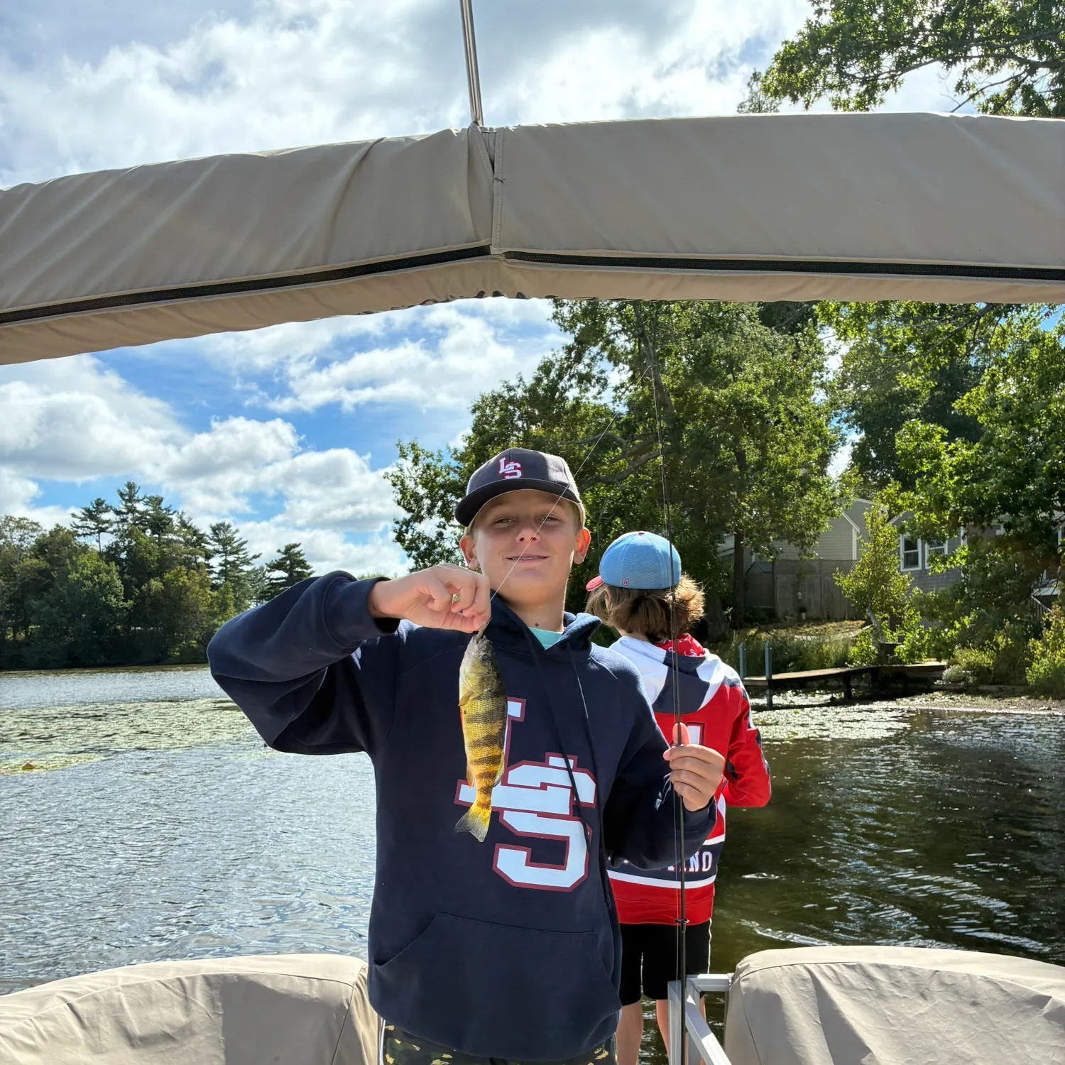 Yellow perch caught on Fishbrain