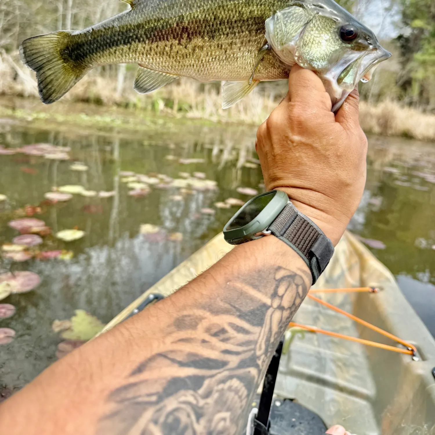 recently logged catches