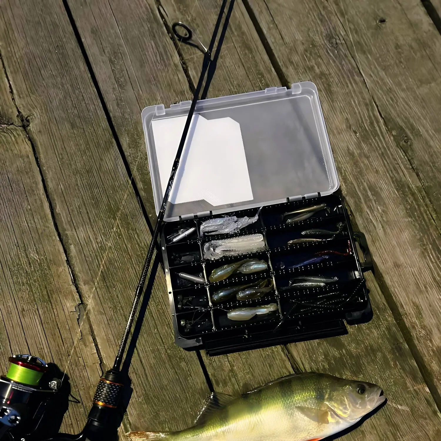 European perch caught on Fishbrain
