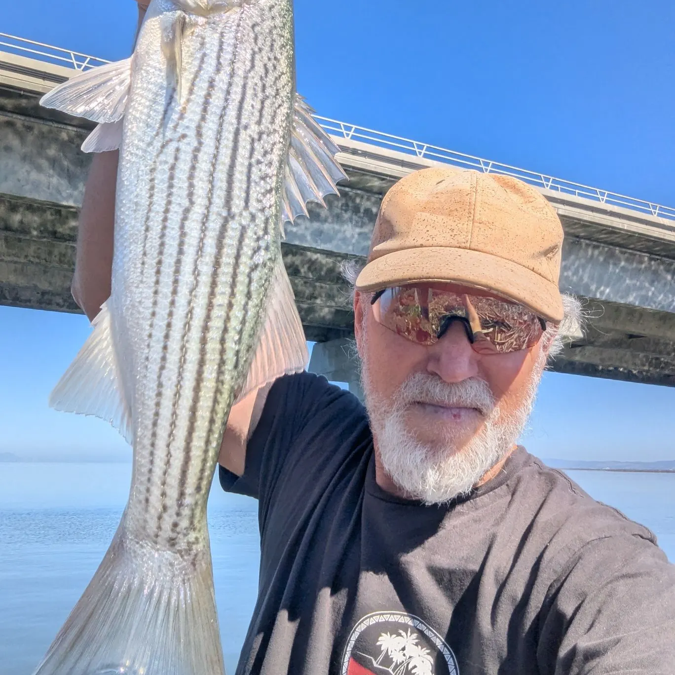 Striped bass caught on Fishbrain