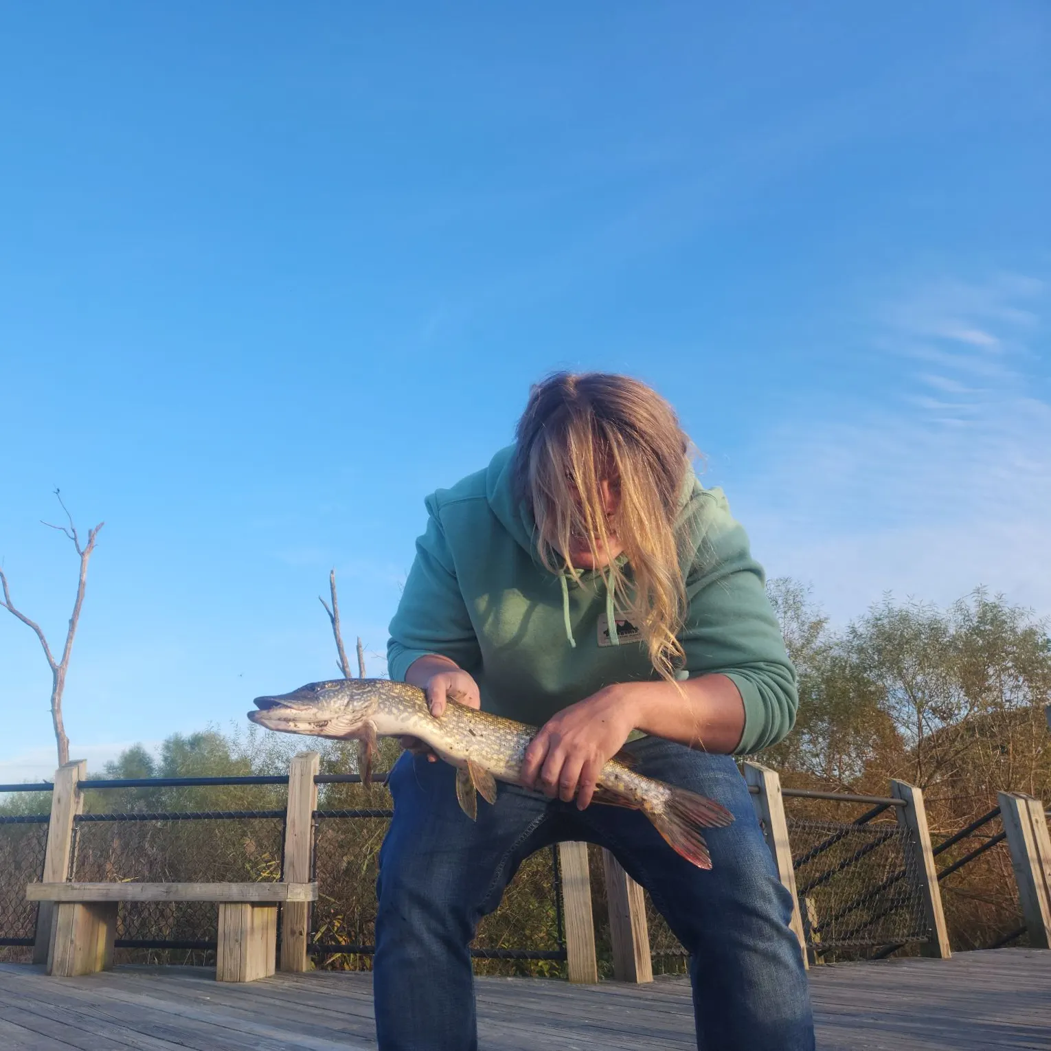 Northern pike caught on Fishbrain