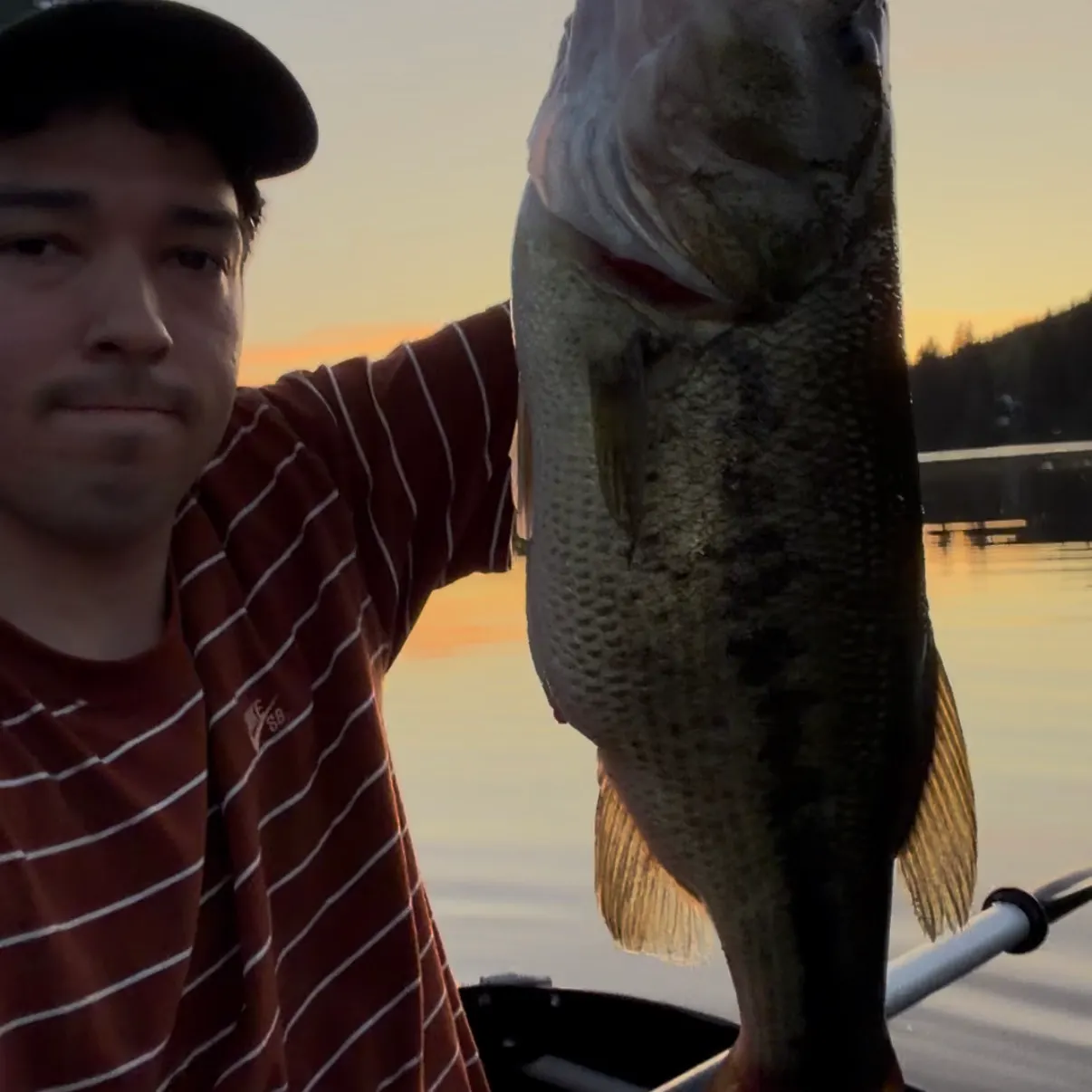Largemouth bass caught on Fishbrain