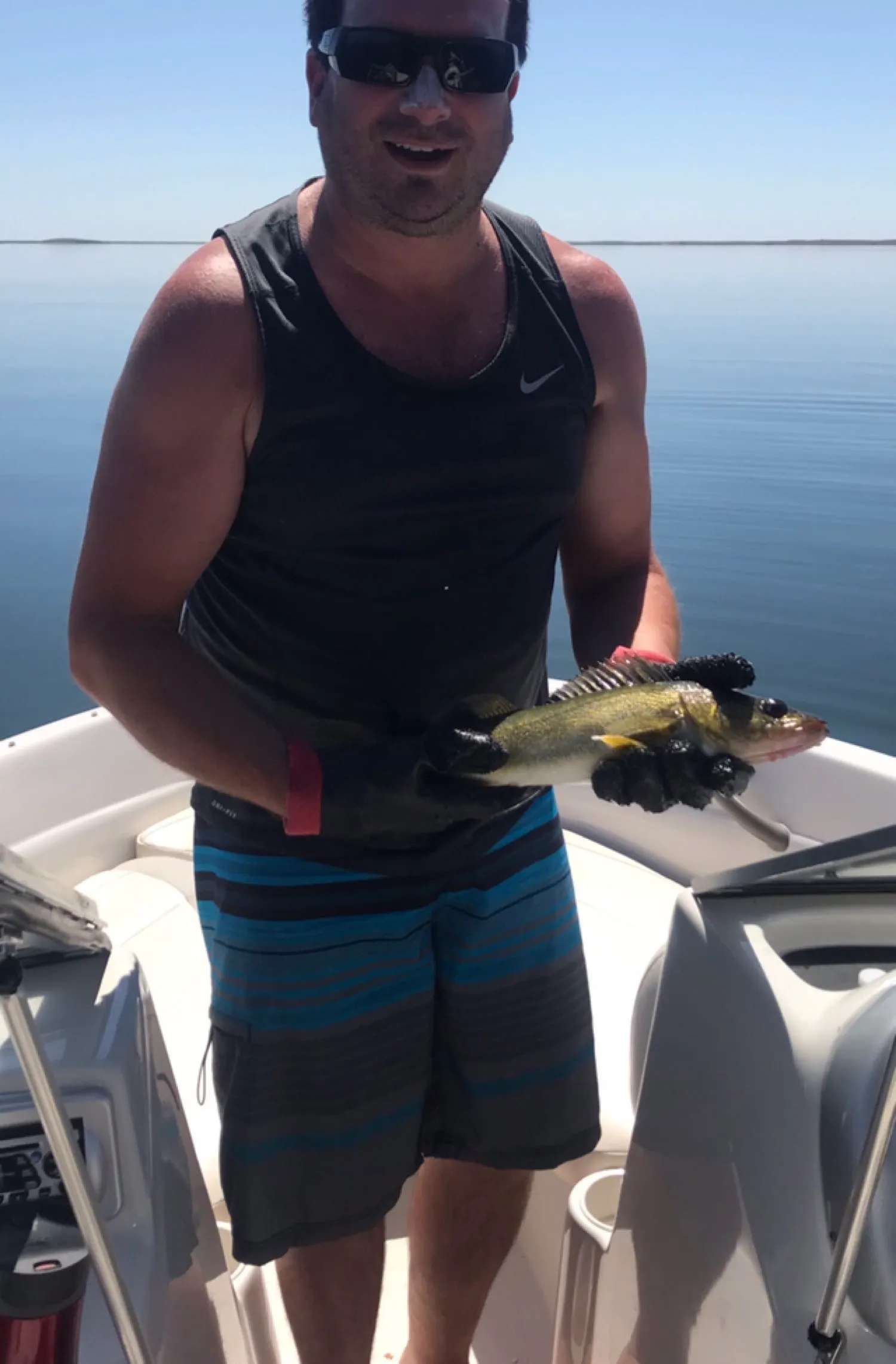 Post image from Curt79