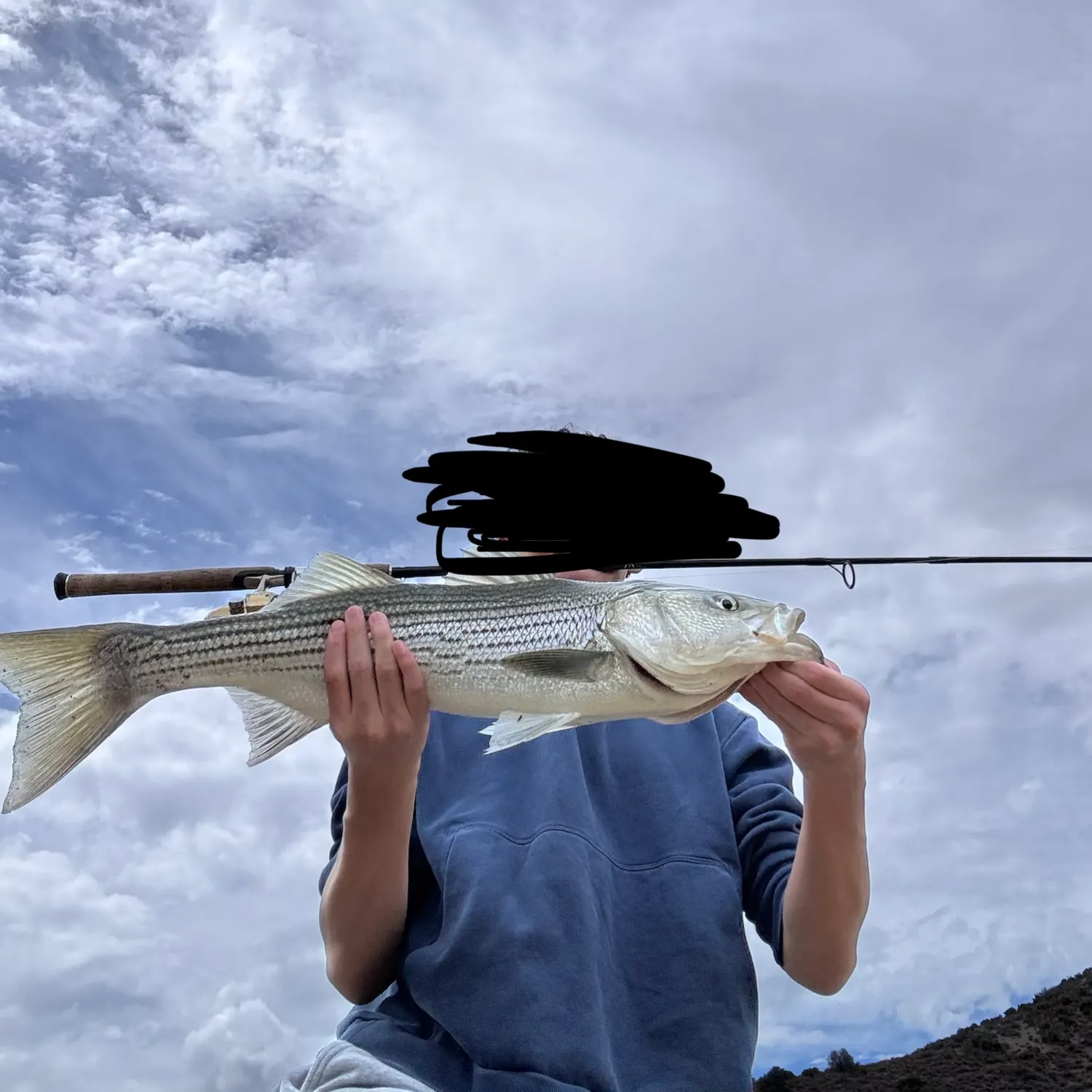 Striped bass caught on Fishbrain