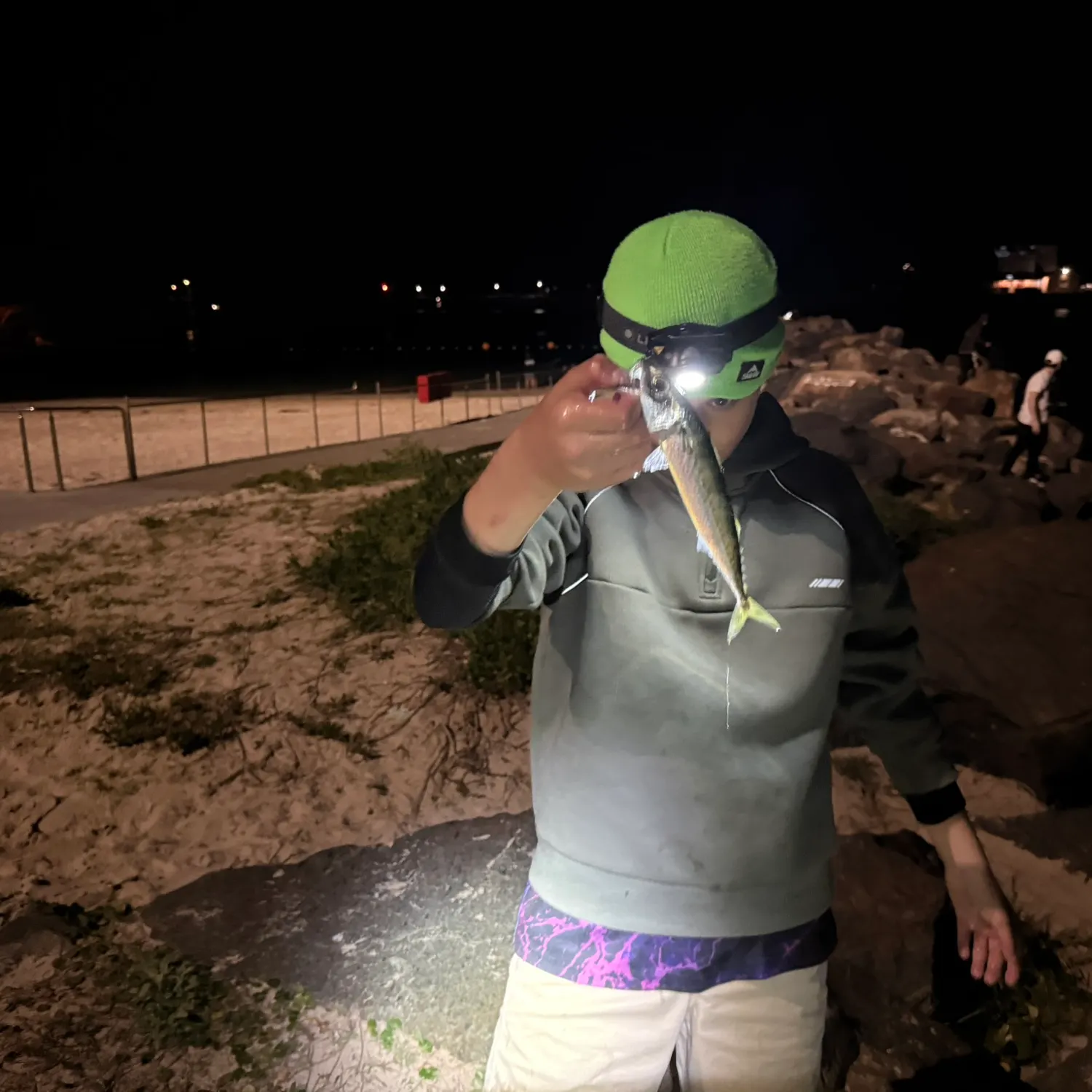 The most recent Blue mackerel catches on Fishbrain