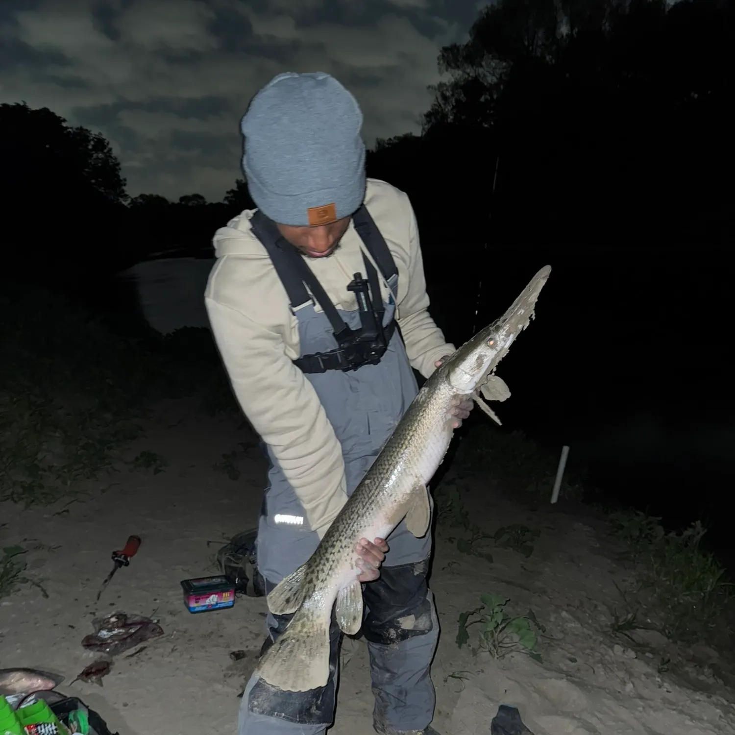 The most recent Alligator gar catches on Fishbrain