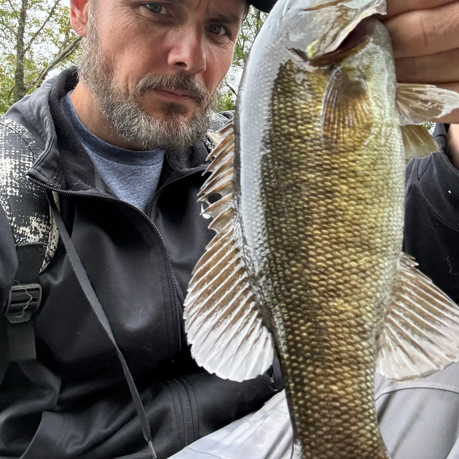Smallmouth bass caught on Fishbrain