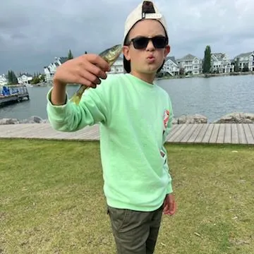 Yellow perch caught on Fishbrain