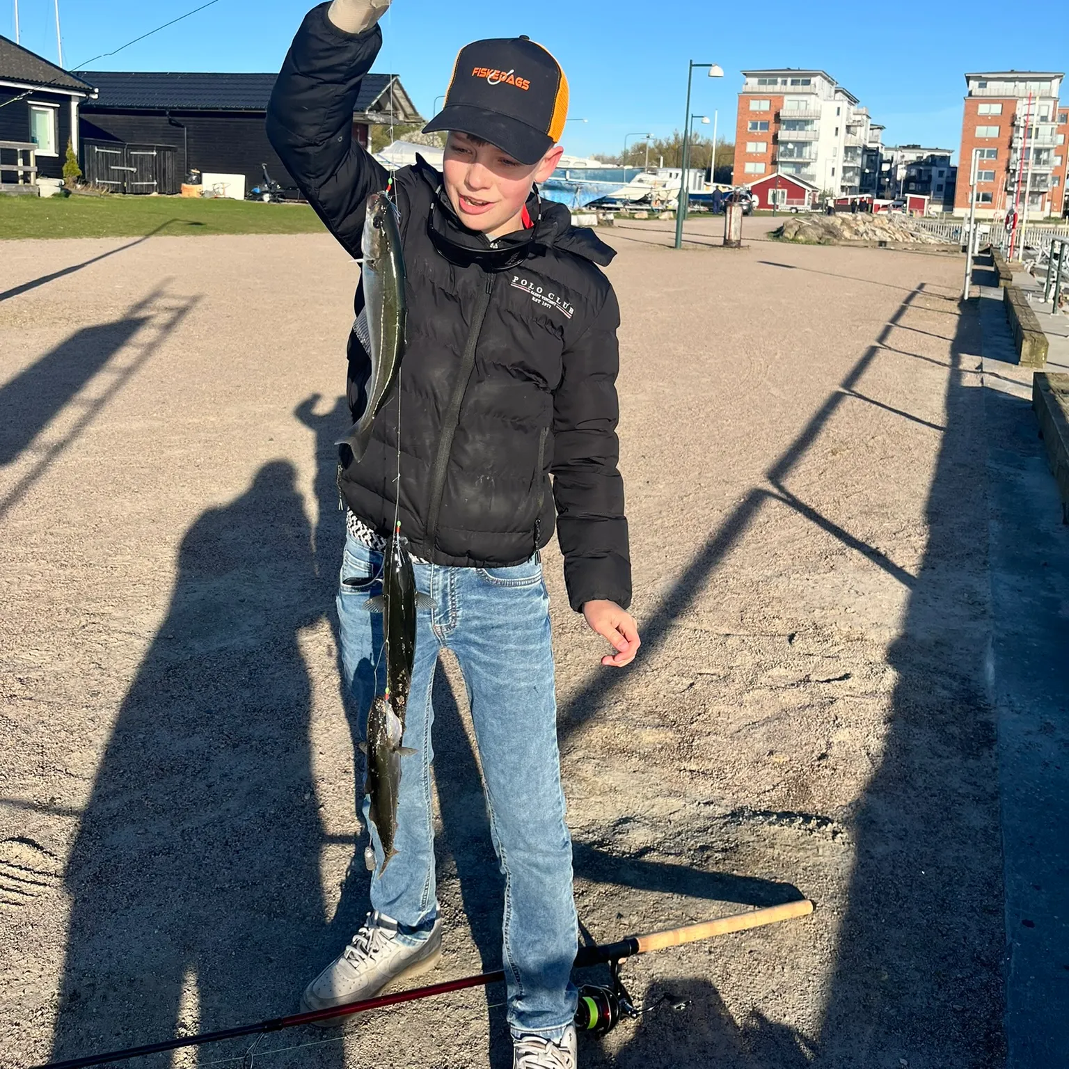 The most recent Atlantic pollock catches on Fishbrain