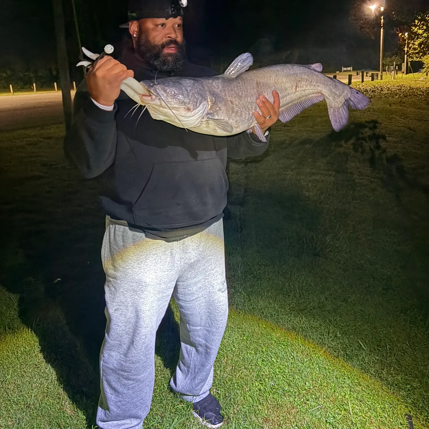 Blue catfish caught on Fishbrain
