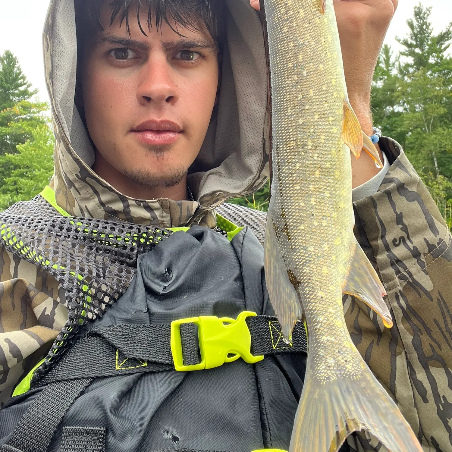 Northern pike caught on Fishbrain