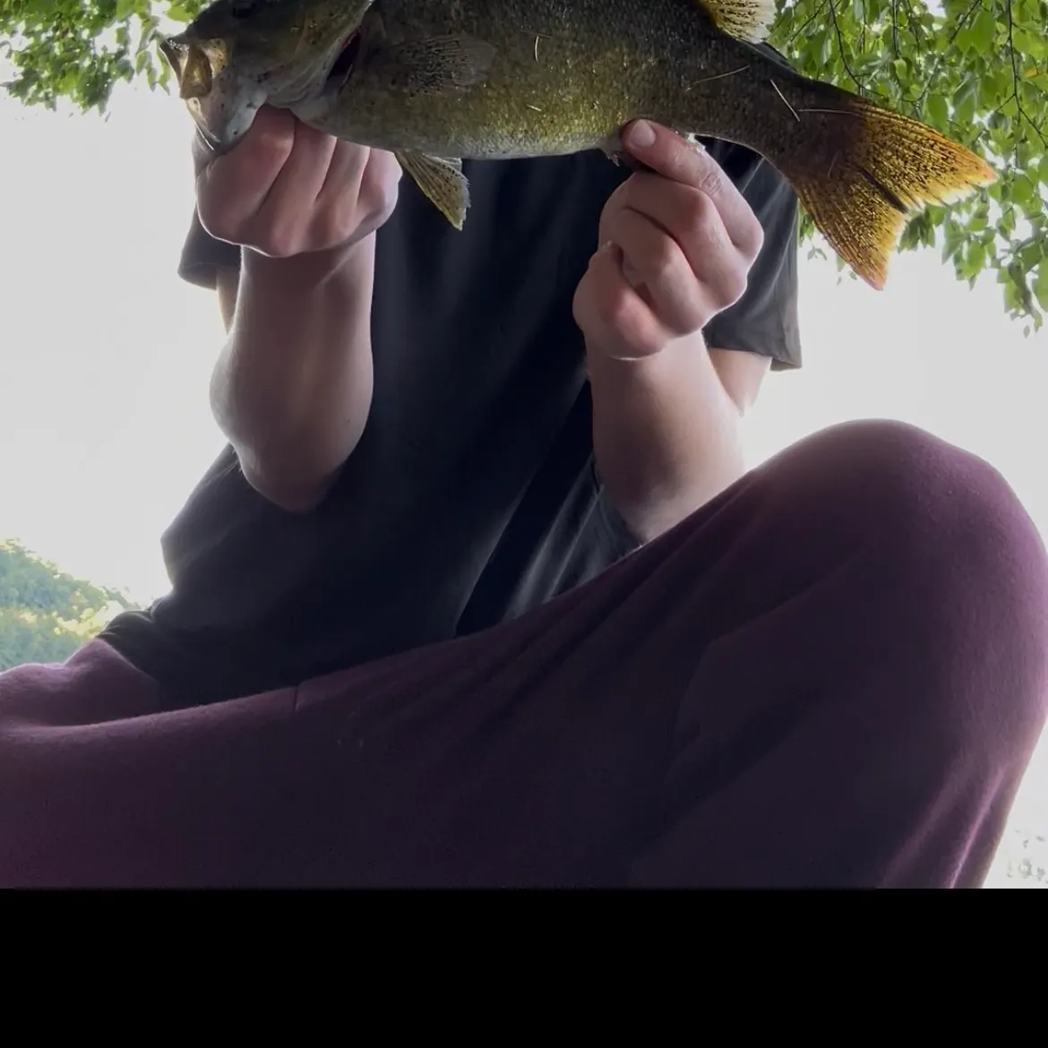 Smallmouth bass caught on Fishbrain