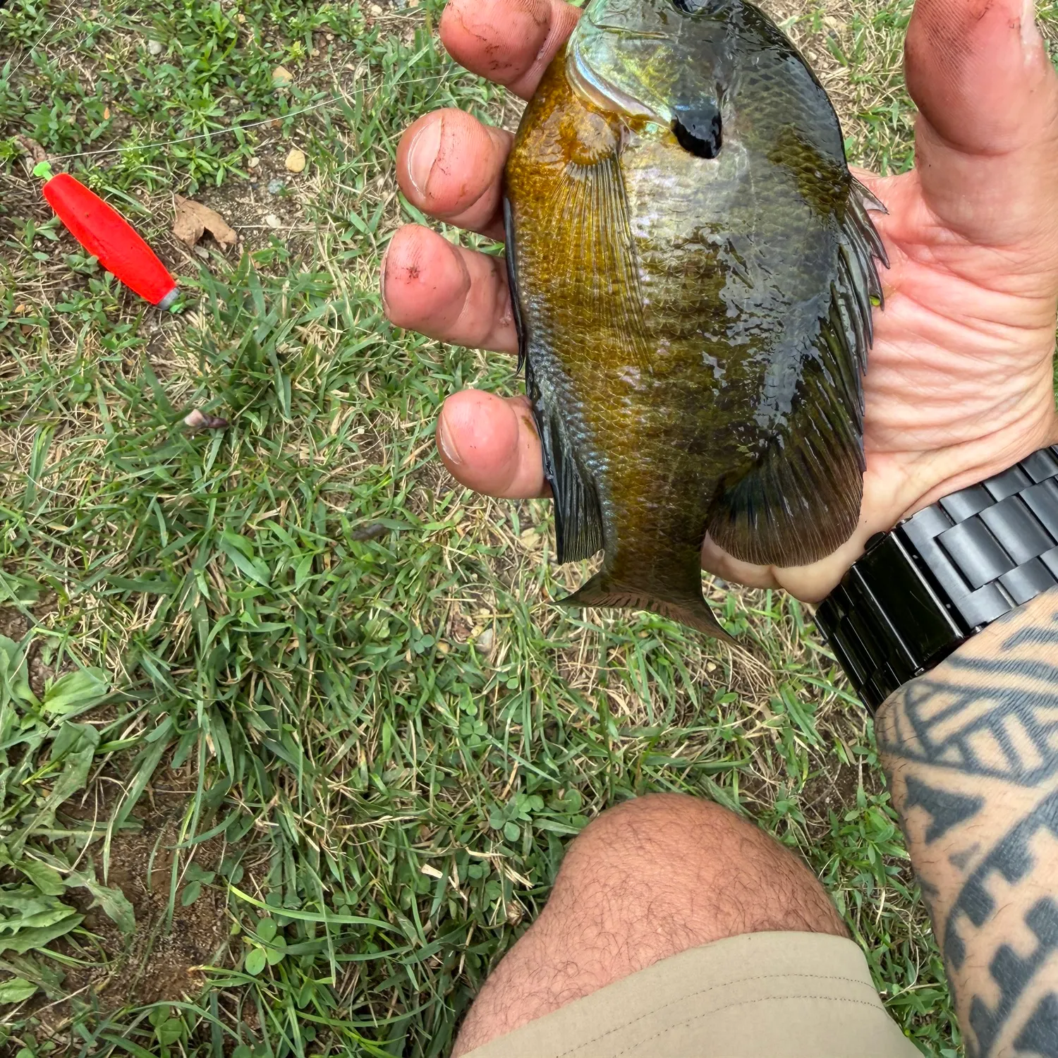 catch