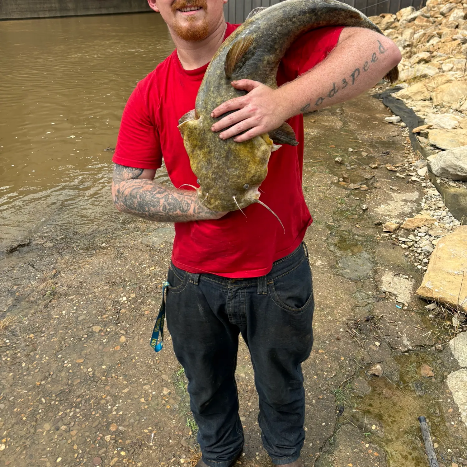 Flathead catfish caught on Fishbrain