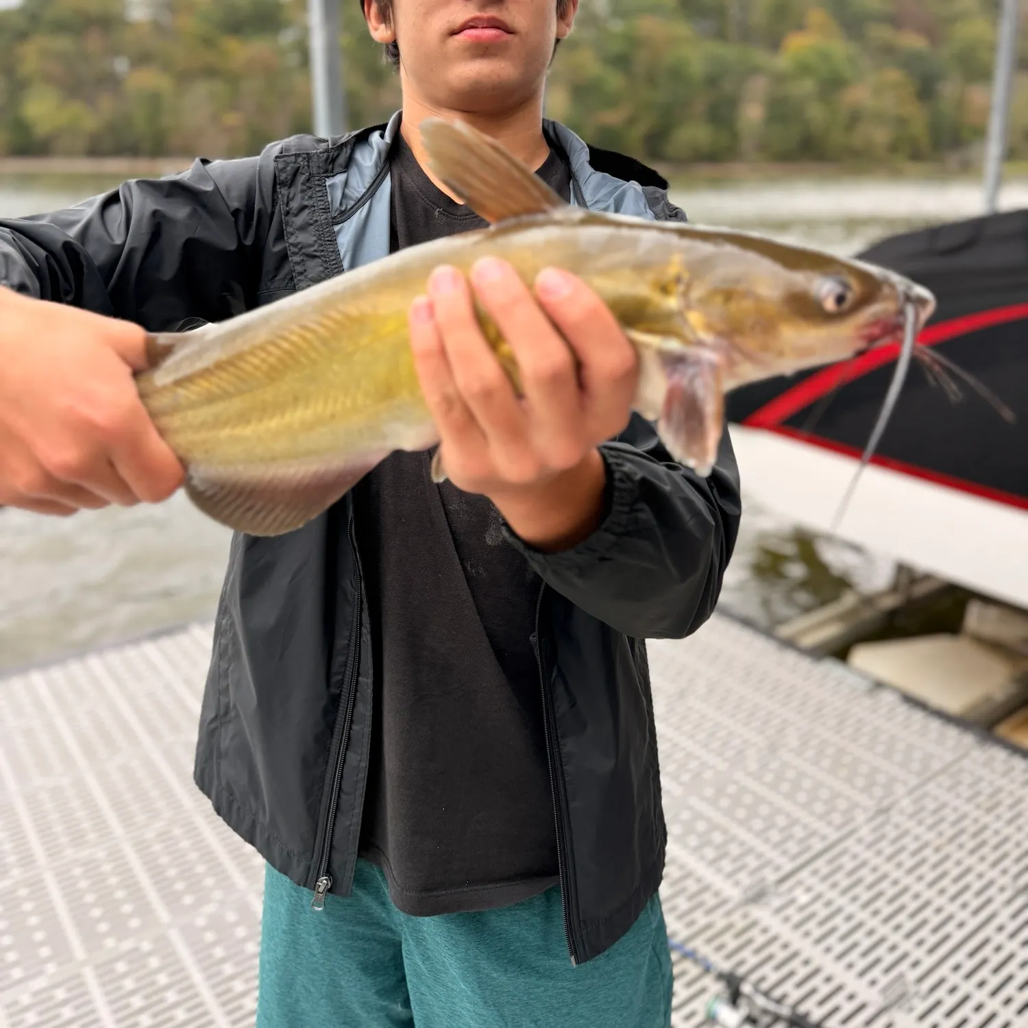 Channel catfish caught on Fishbrain