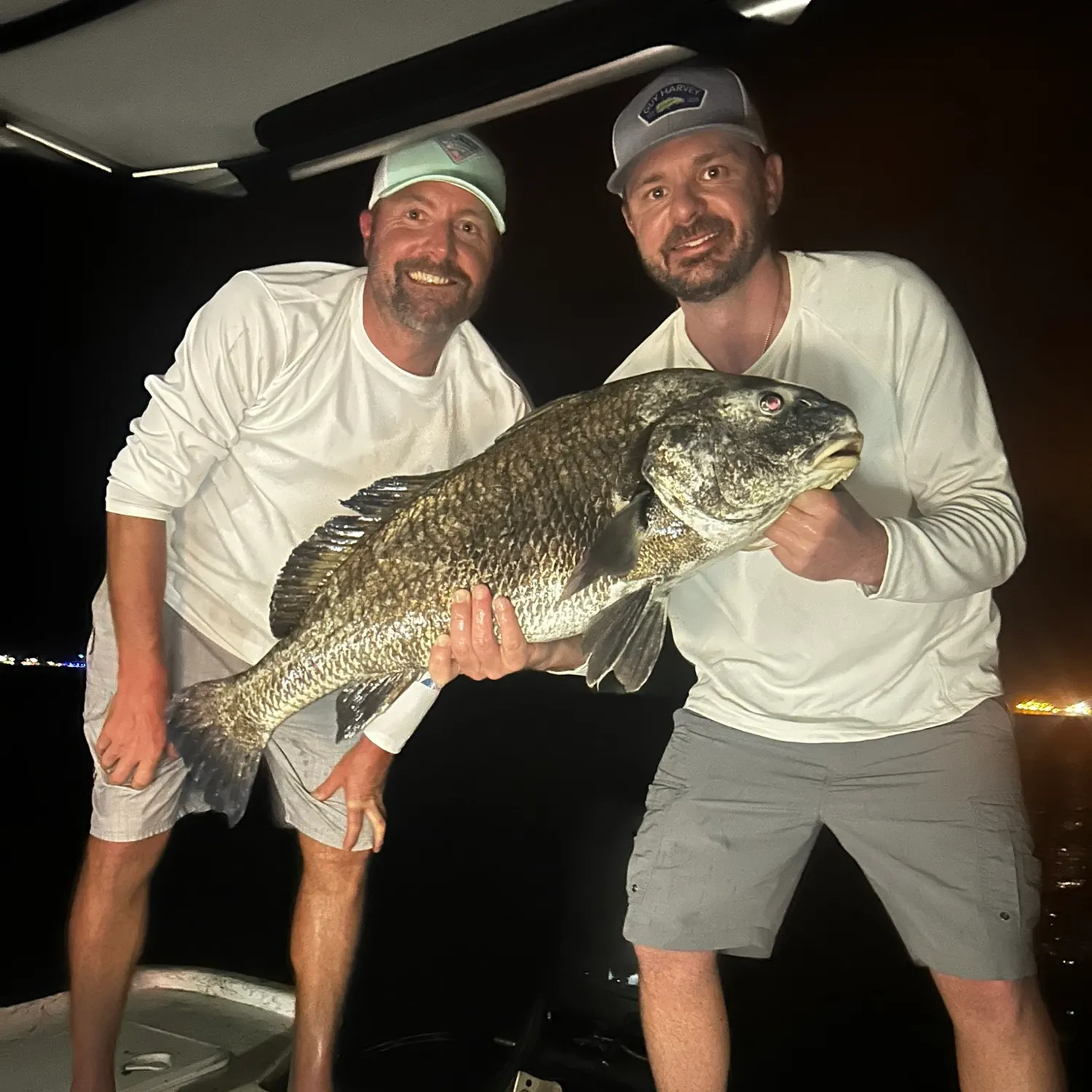 The most recent Black drum catches on Fishbrain