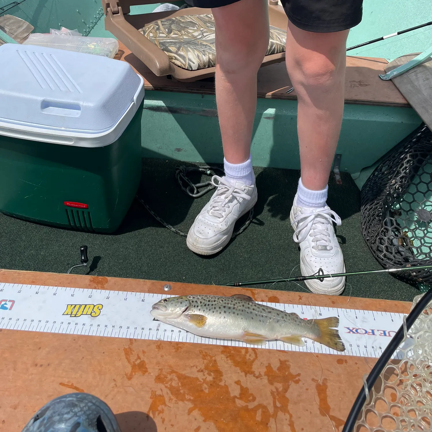 The most recent Sea trout catches on Fishbrain