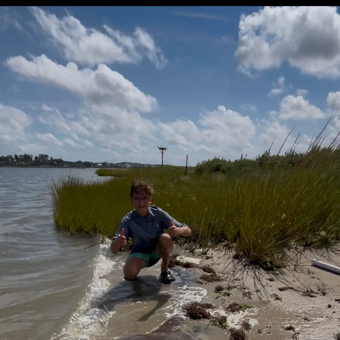 The most recent Cownose Ray catches on Fishbrain