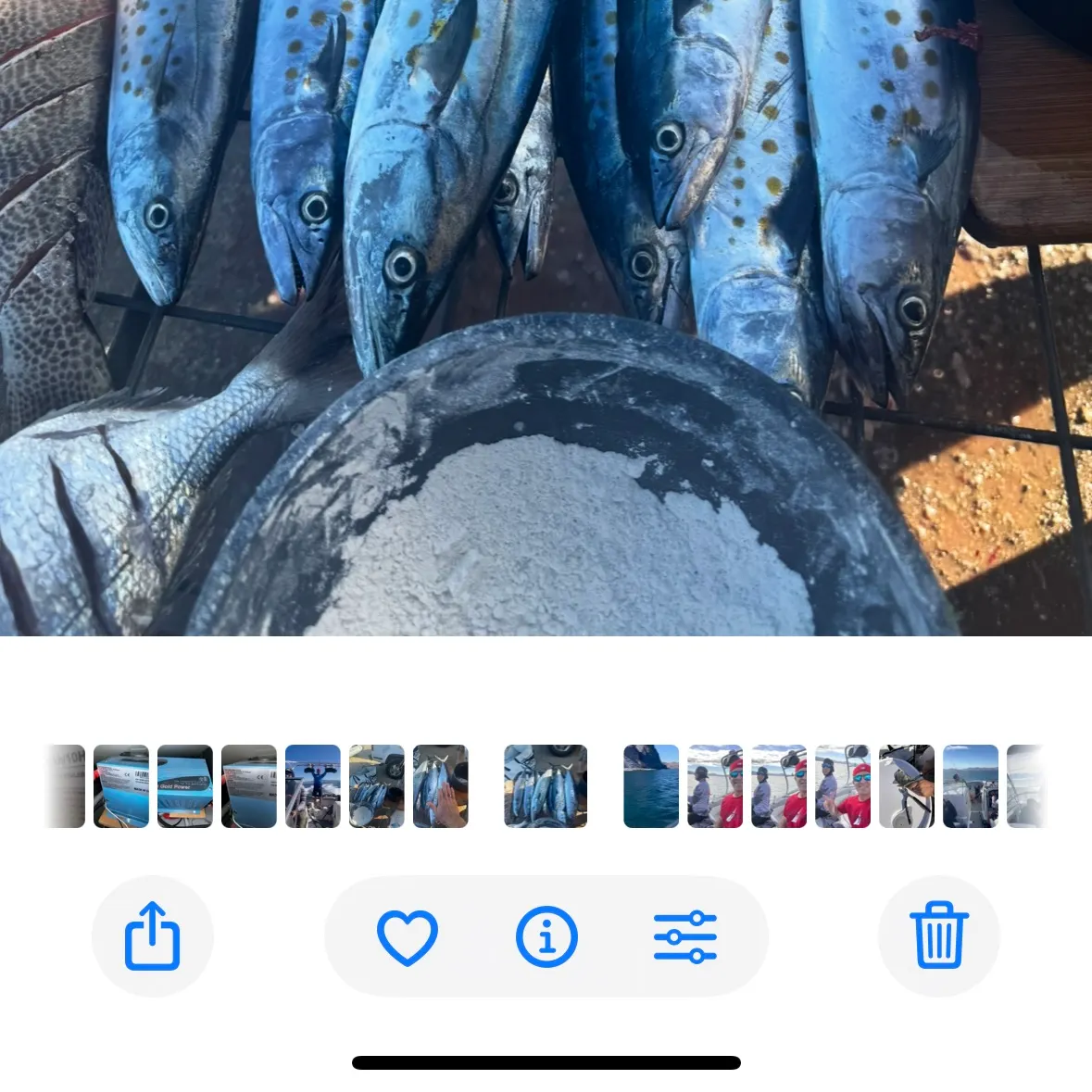 recently logged catches