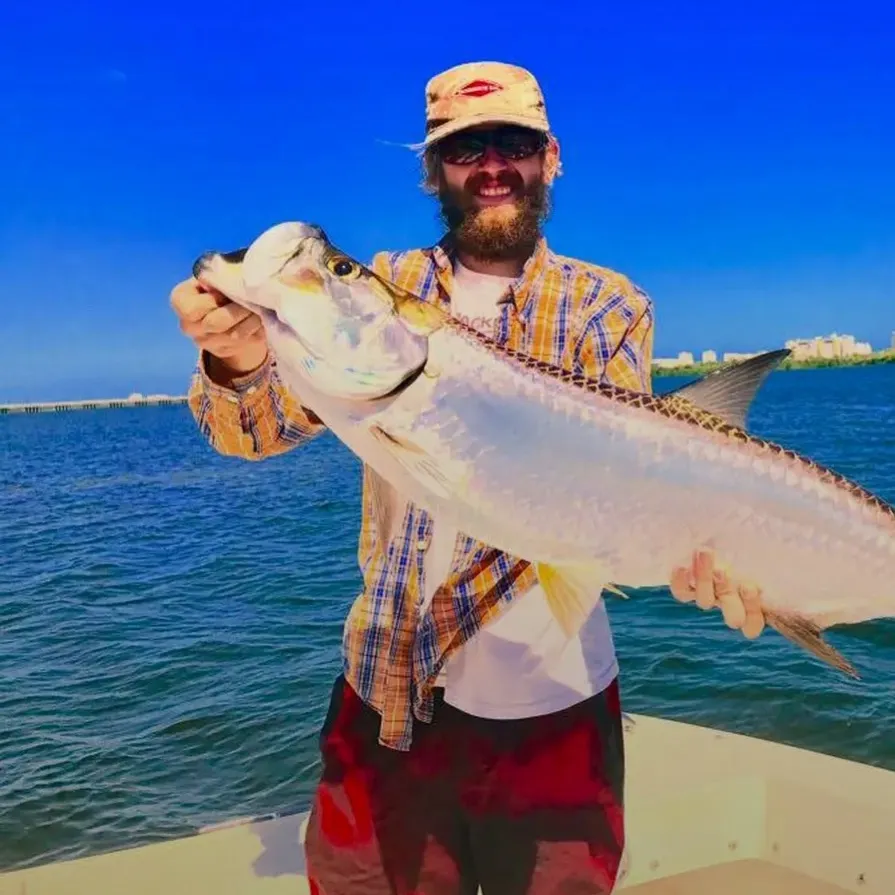 The most recent Tarpon catches on Fishbrain