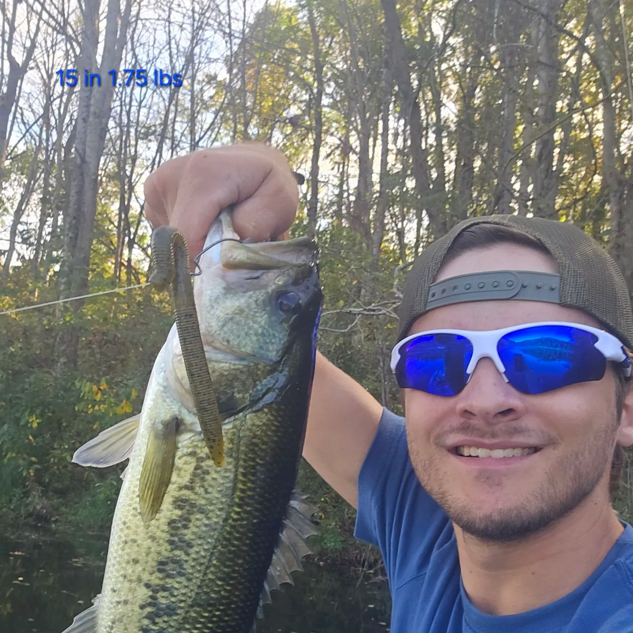Largemouth bass caught on Fishbrain