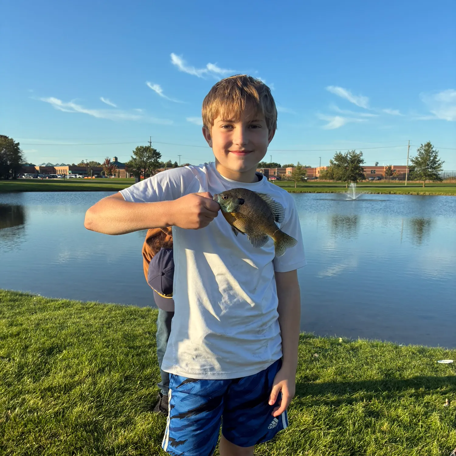 Bluegill caught on Fishbrain