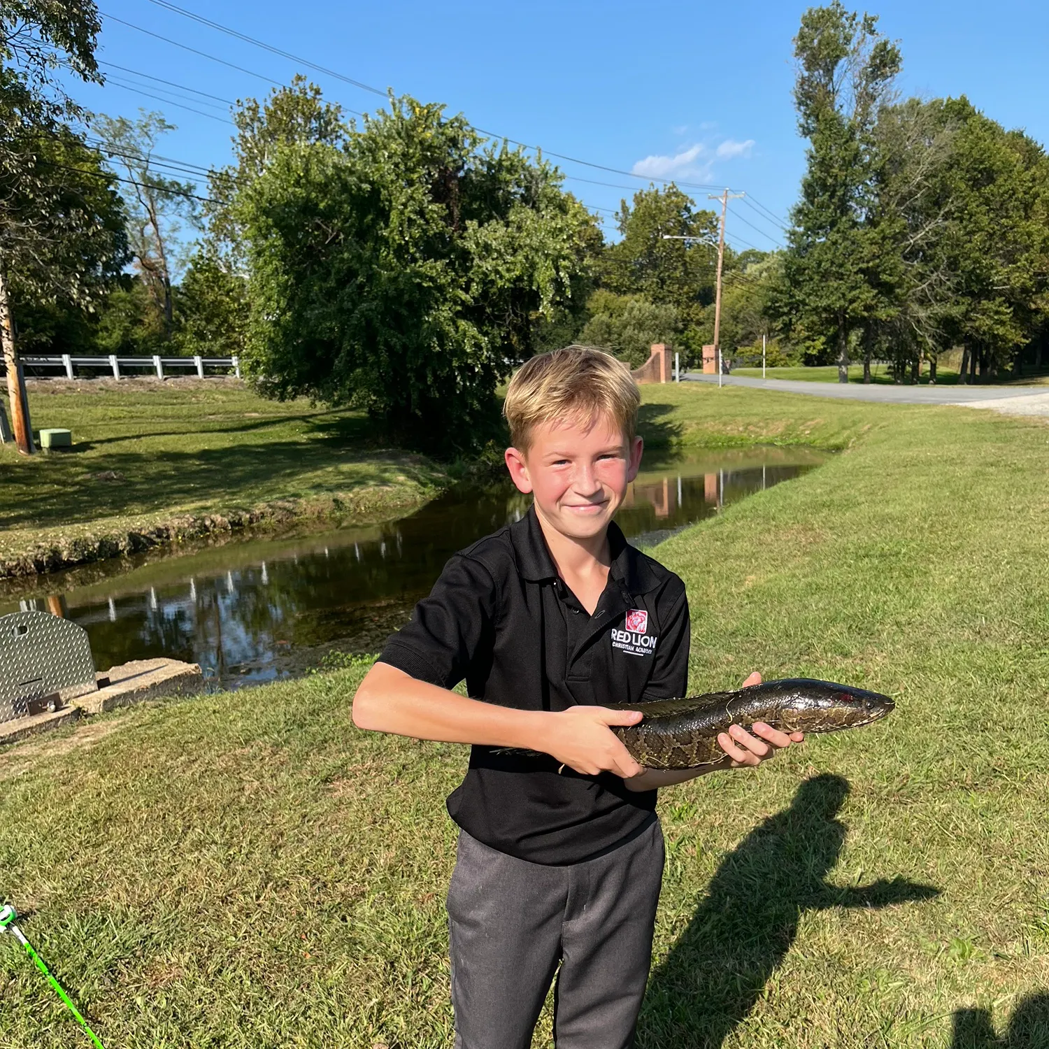 The most recent Lake sturgeon catches on Fishbrain