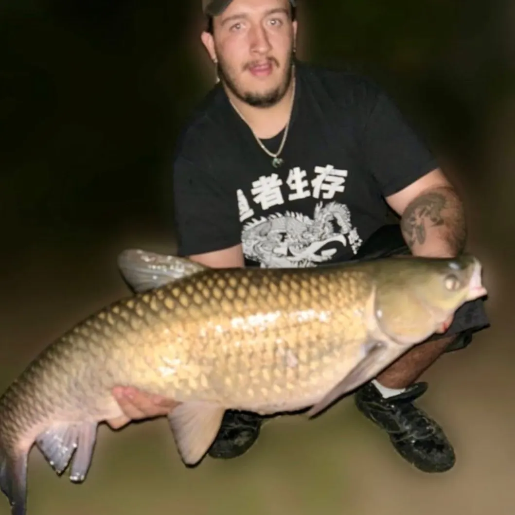 The most recent Grass carp catches on Fishbrain