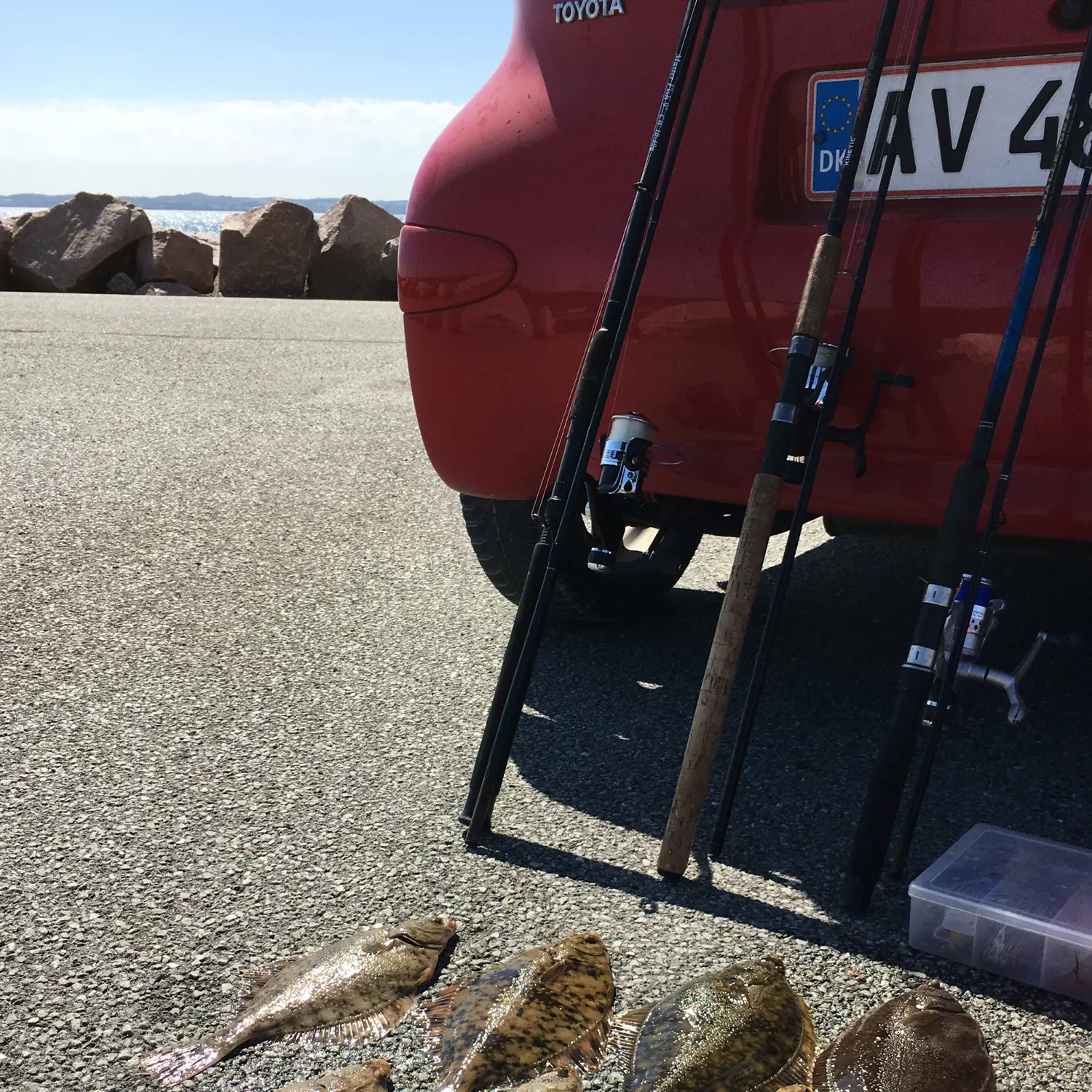 recently logged catches