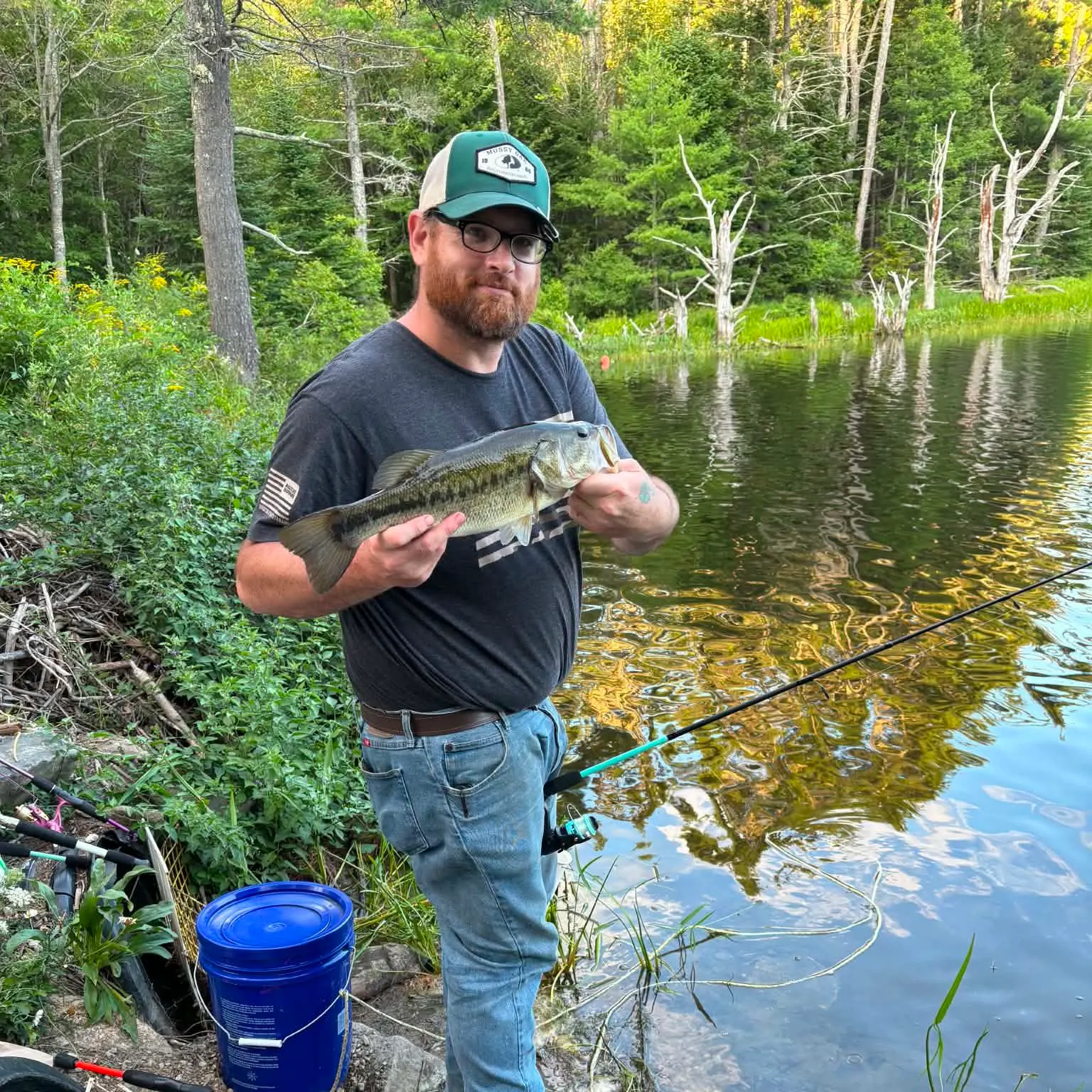 Largemouth bass caught on Fishbrain