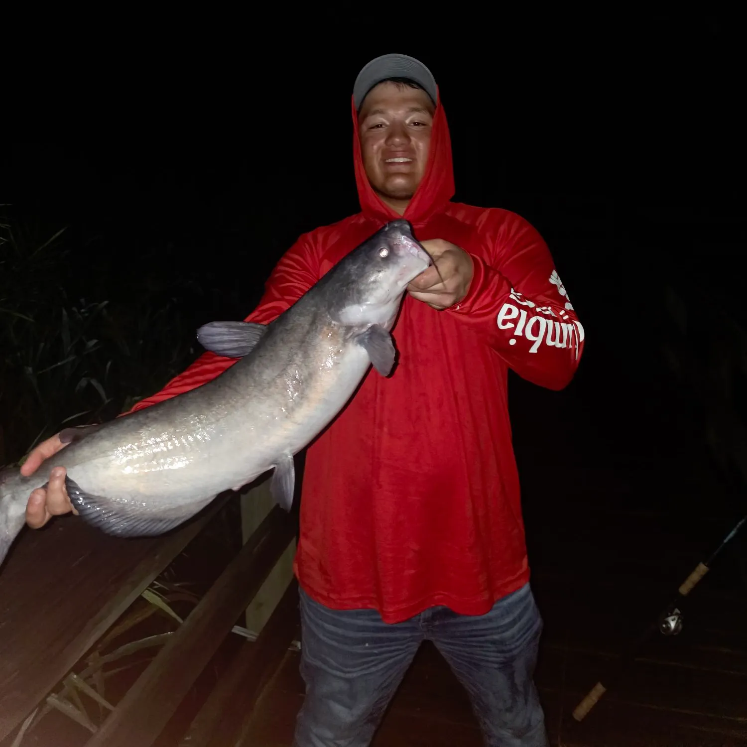Blue catfish caught on Fishbrain