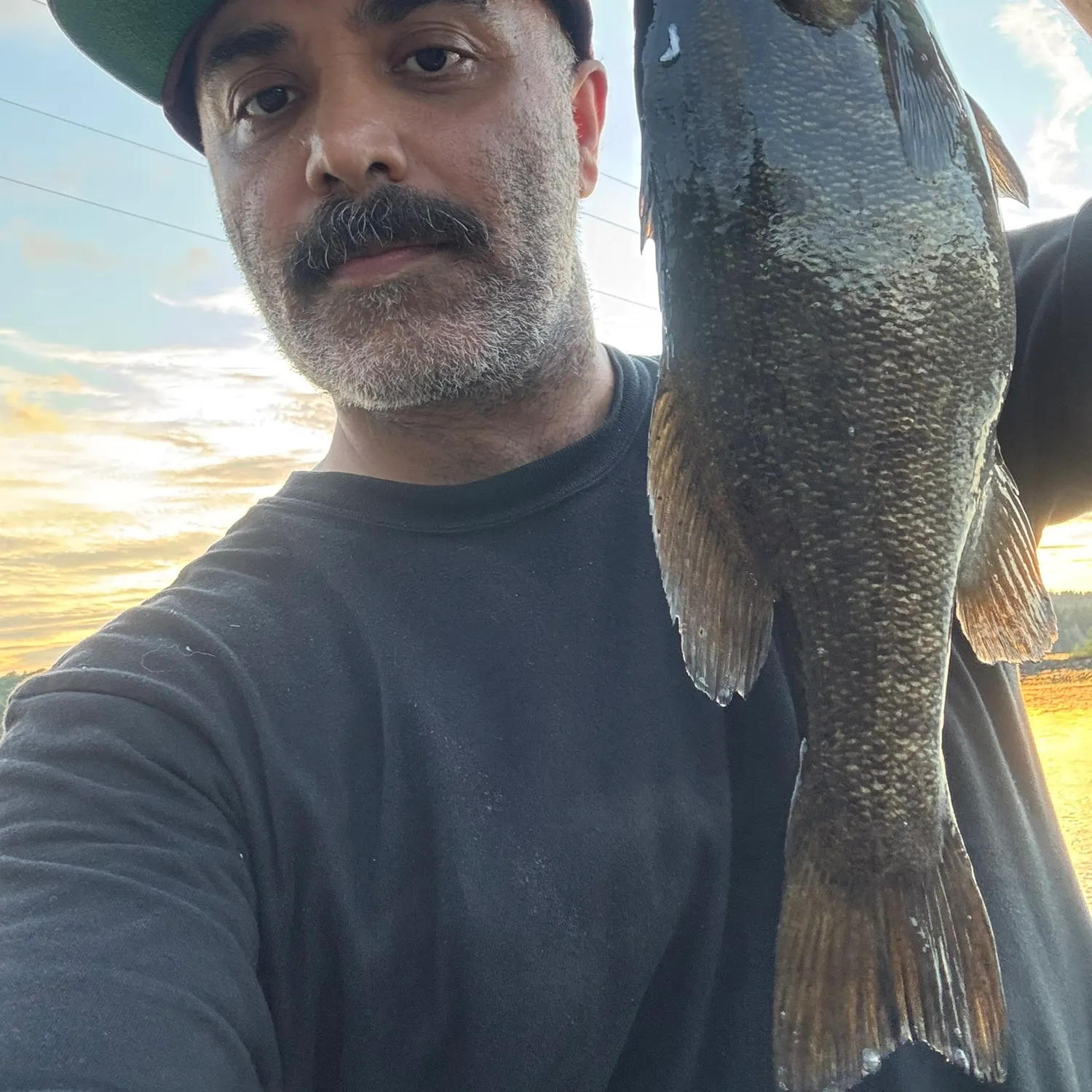 Smallmouth bass caught on Fishbrain