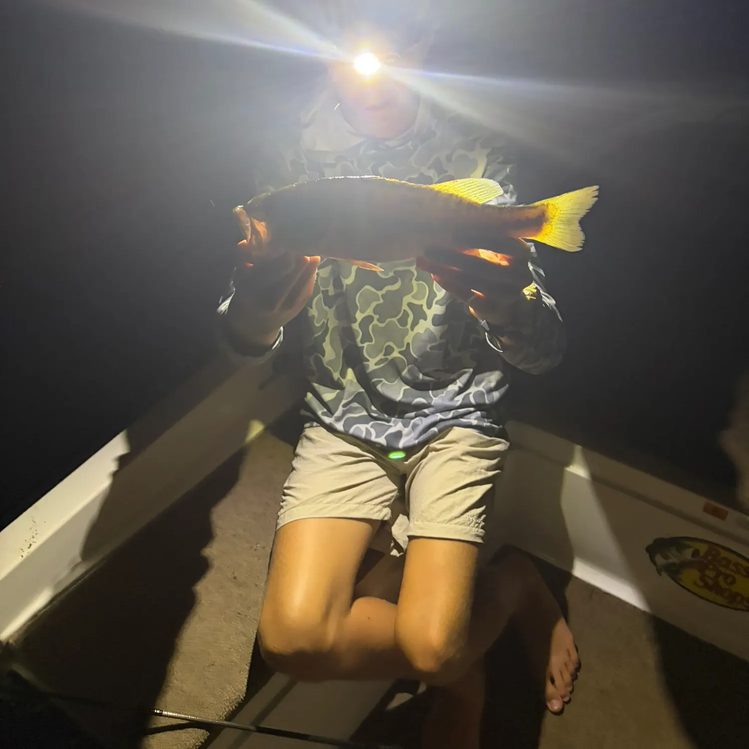 Spotted bass caught on Fishbrain