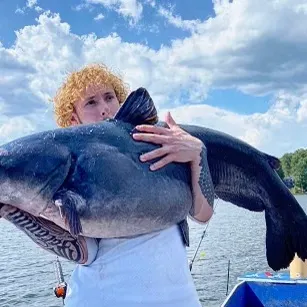 Blue catfish caught on Fishbrain