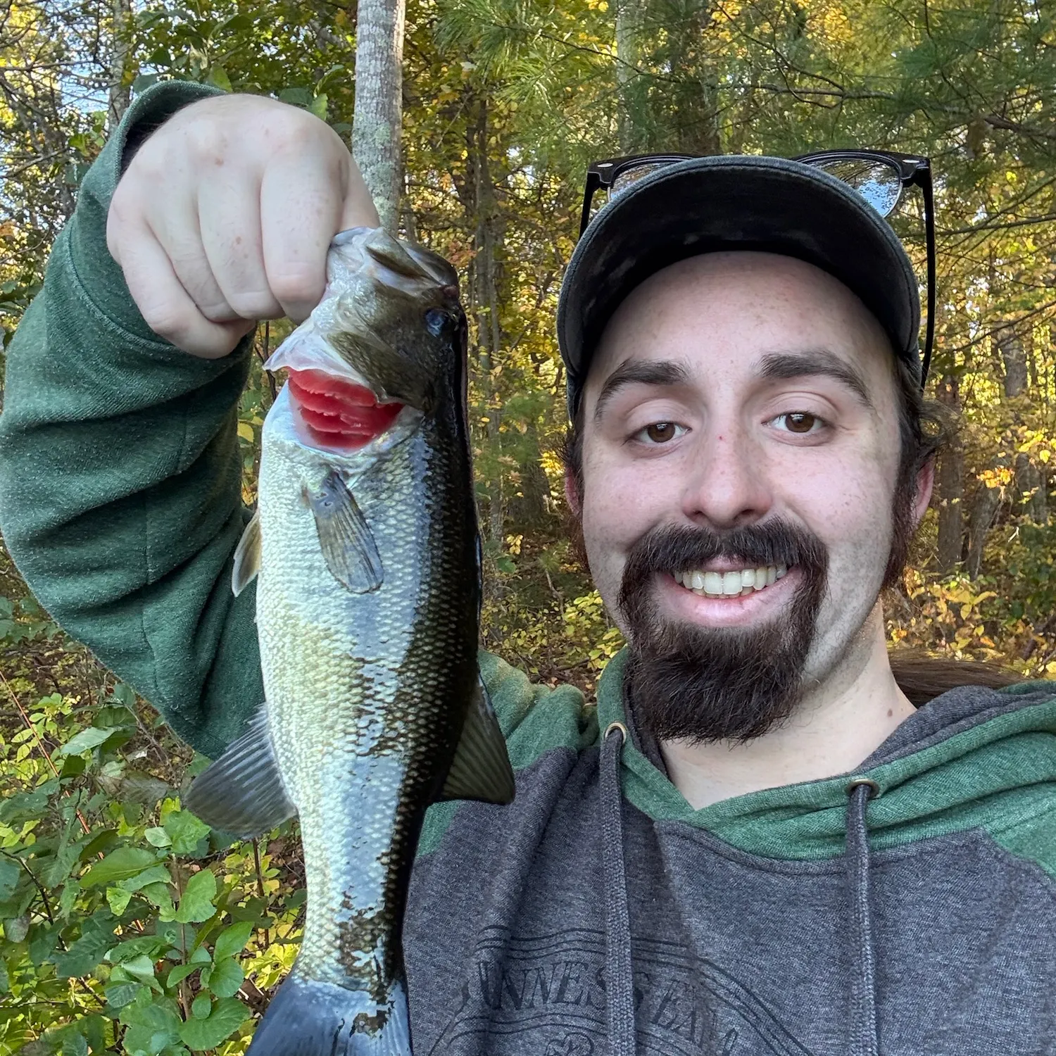 Largemouth bass caught on Fishbrain