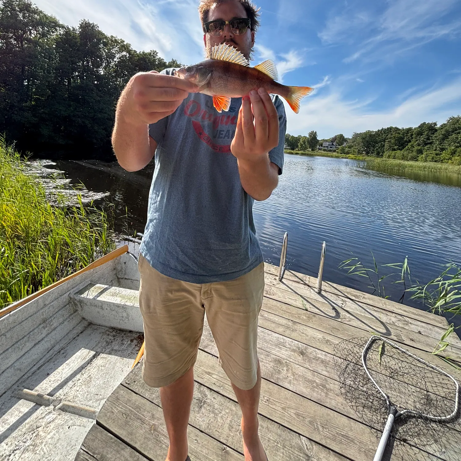 The most recent European perch catches on Fishbrain
