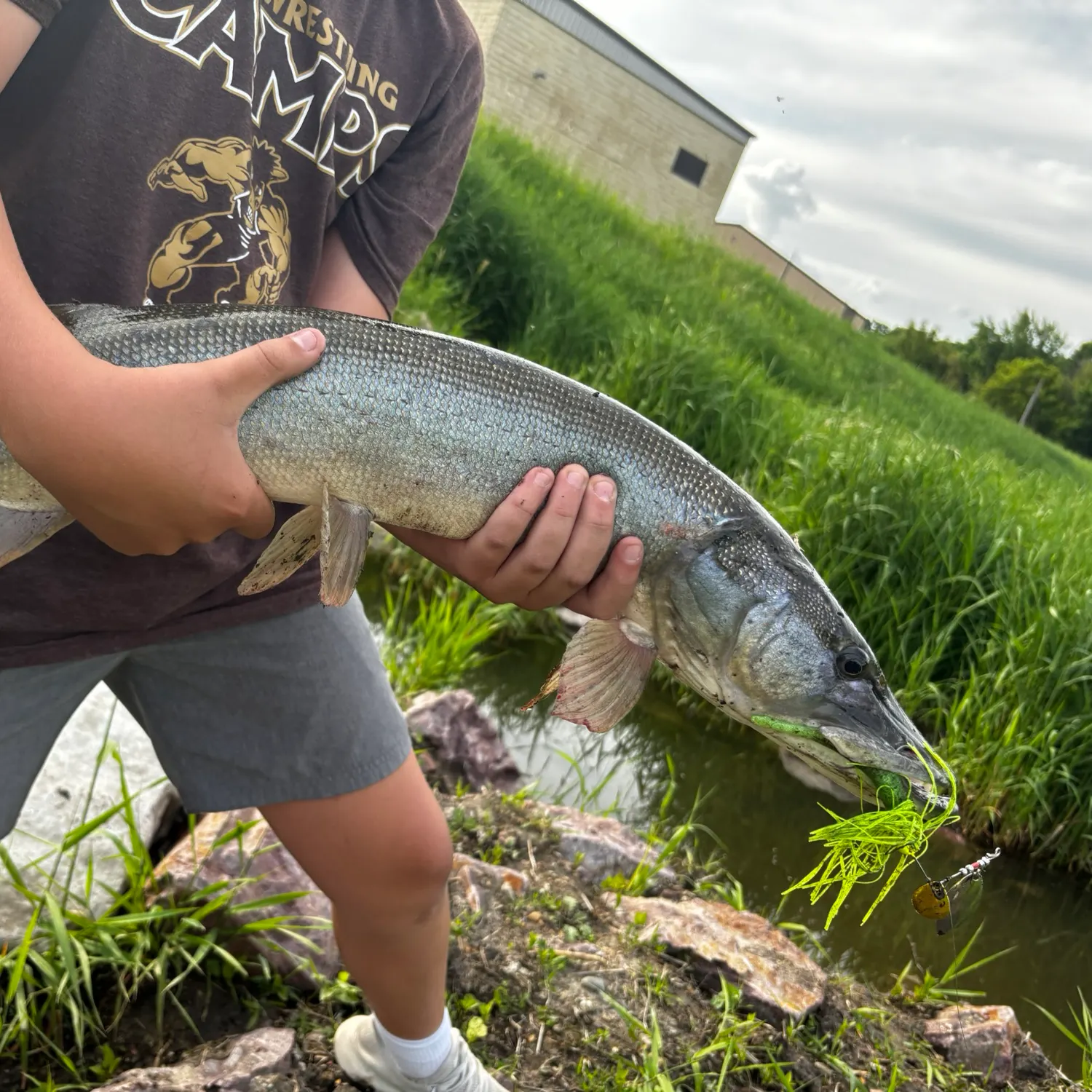 The most recent Silver pike catches on Fishbrain