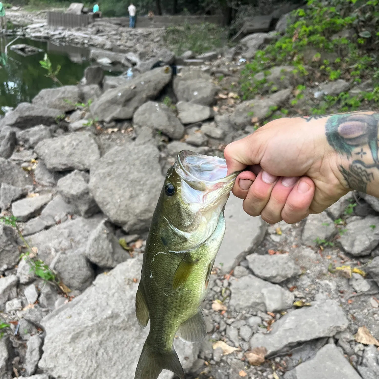 catch