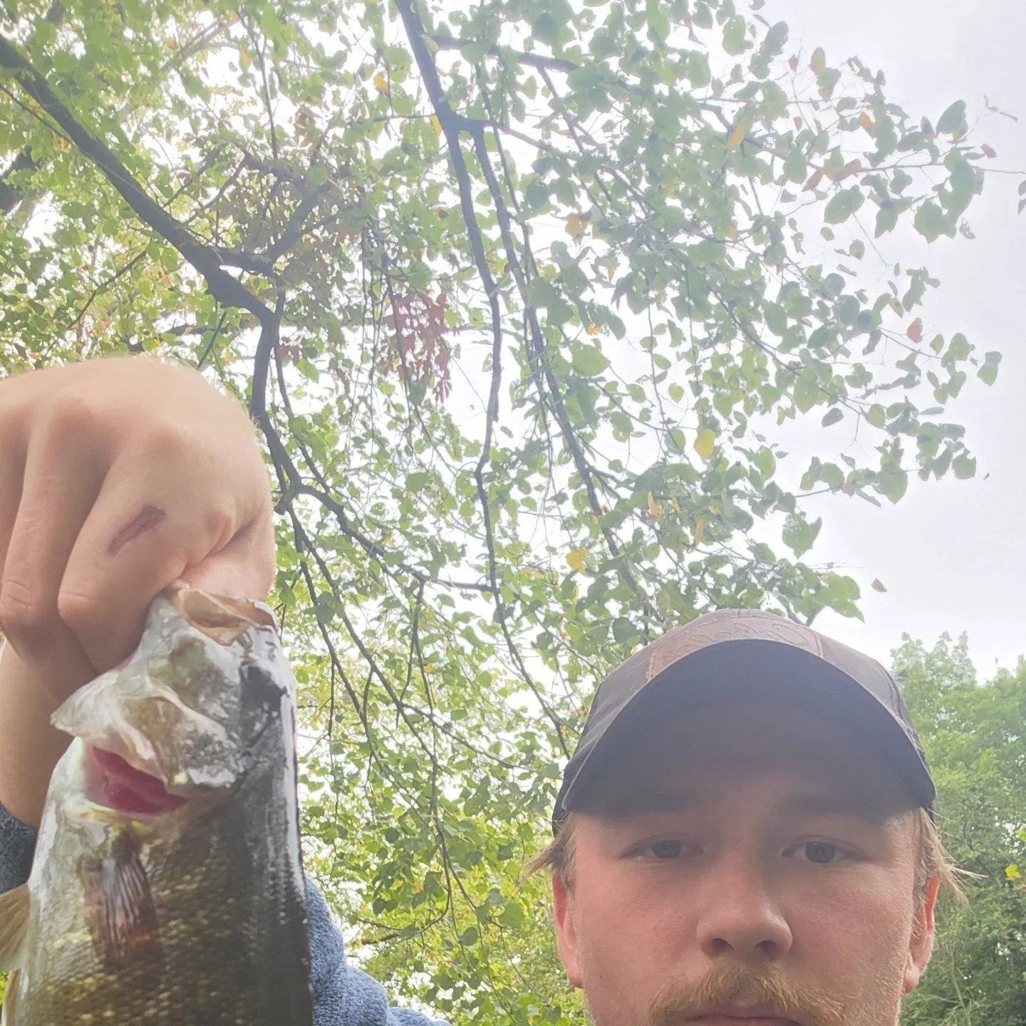 Smallmouth bass caught on Fishbrain