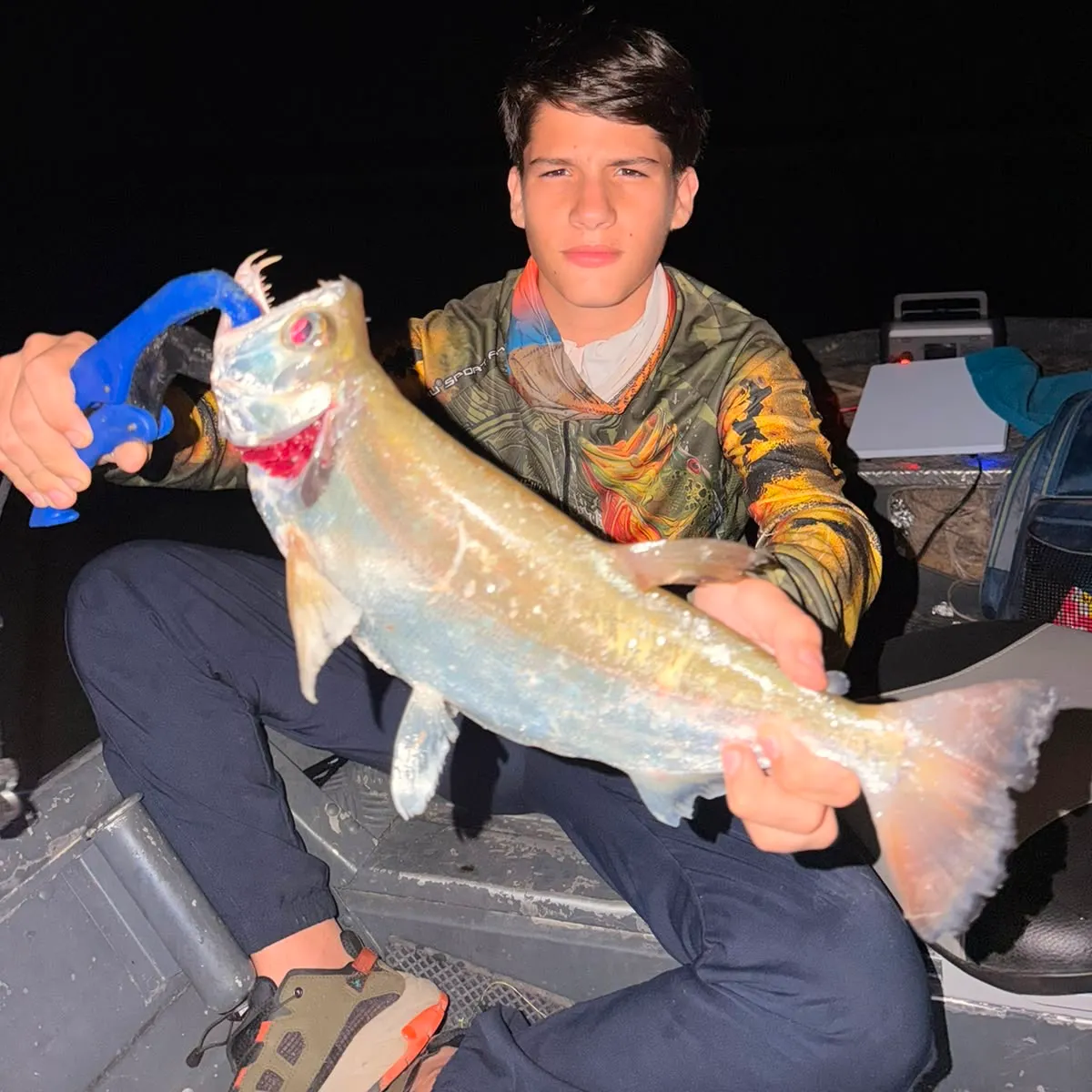 The most recent Vampire fish catches on Fishbrain