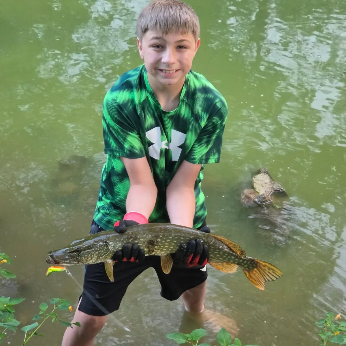Fish caught on Fishbrain